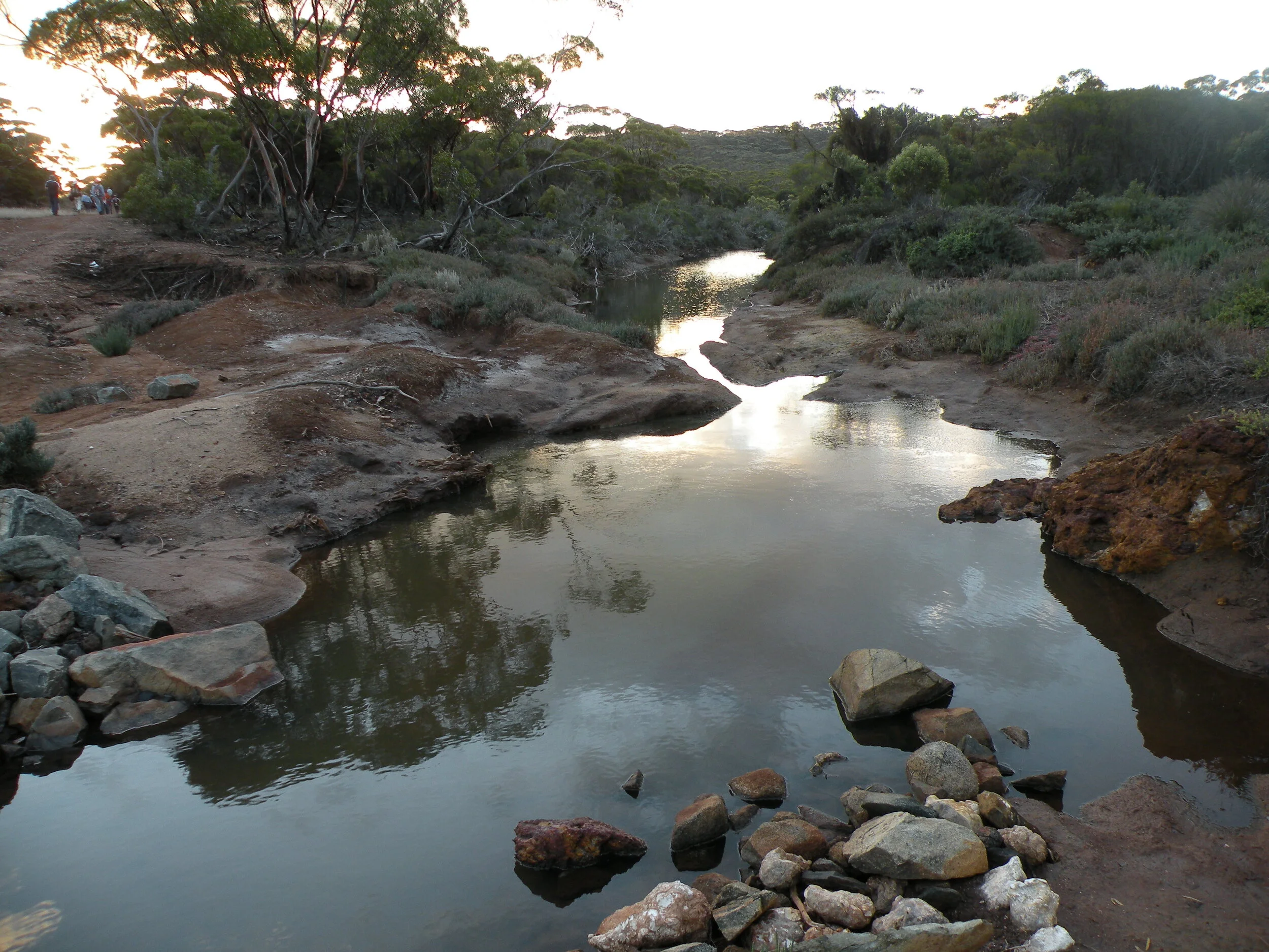 Protecting and restoring native vegetation within Bremer River Catchment and Surrounds