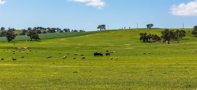 Carbon for Farmers Voucher Program