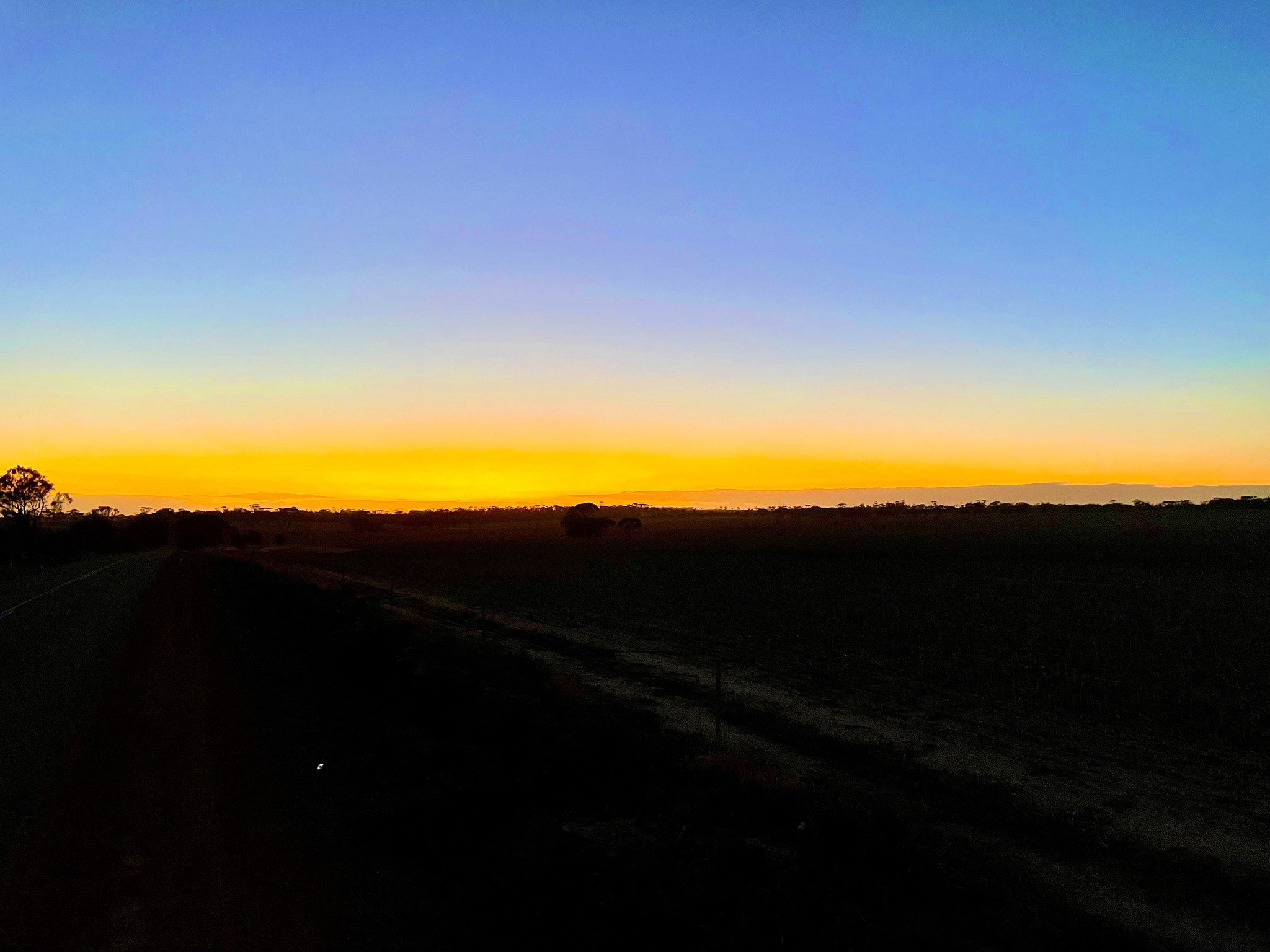 What an amazing morning to be up with the foxes!
Great turn out for our 2025 Feral Animal Shoots and no doubt some threatened species breathing a little easier today.

Needilup Results
Total Foxes 102 Cats 26 Rabbits 28
Winners - Winnie Dinnies 230 p