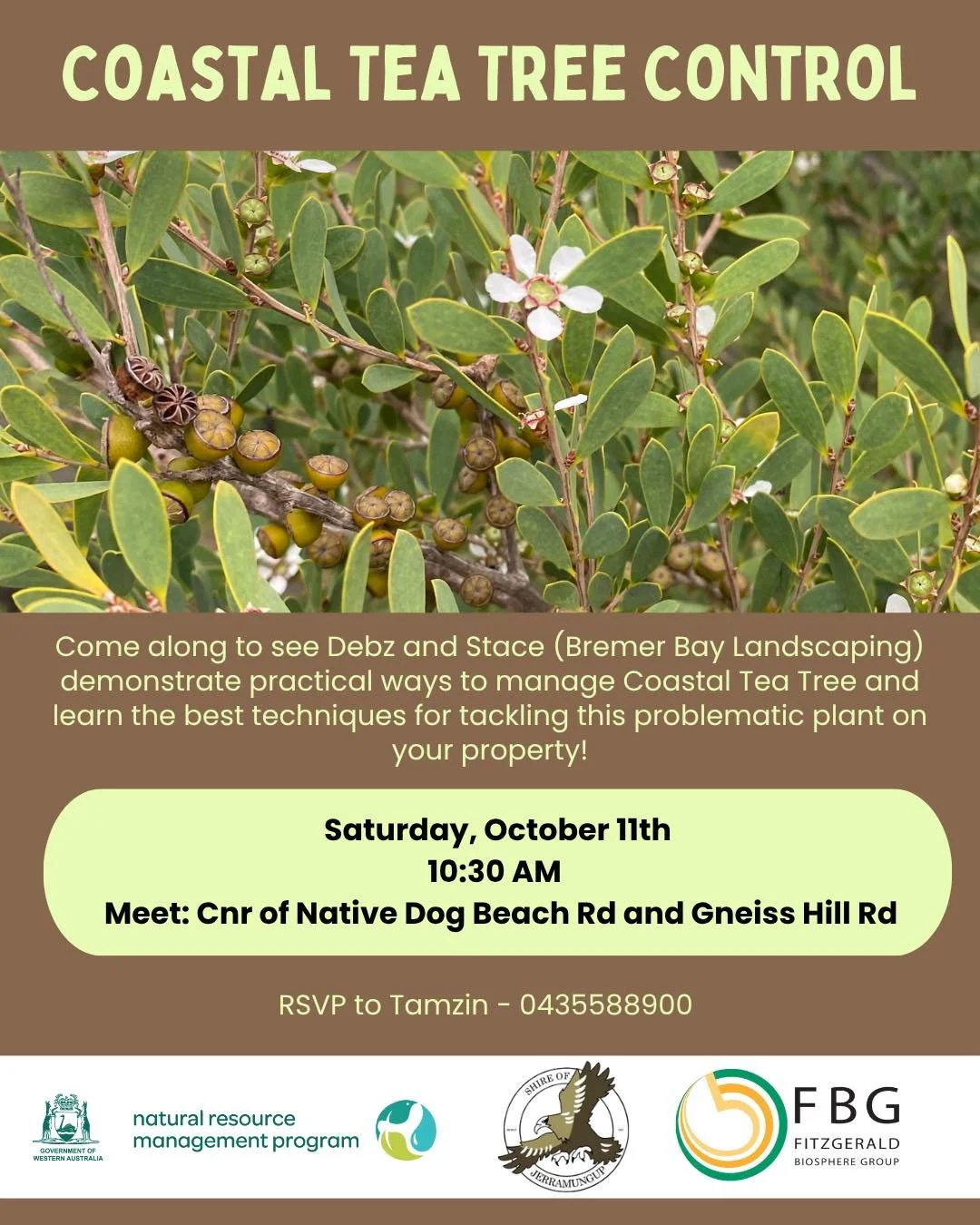 🌼 This Saturday 🌼

Coastal Tea Tree is a small tree native to south-eastern Australia which thrives in coastal habitats and is tolerant of strong winds, salt and dry conditions. In areas where it has been introduced beyond its normal range, includi