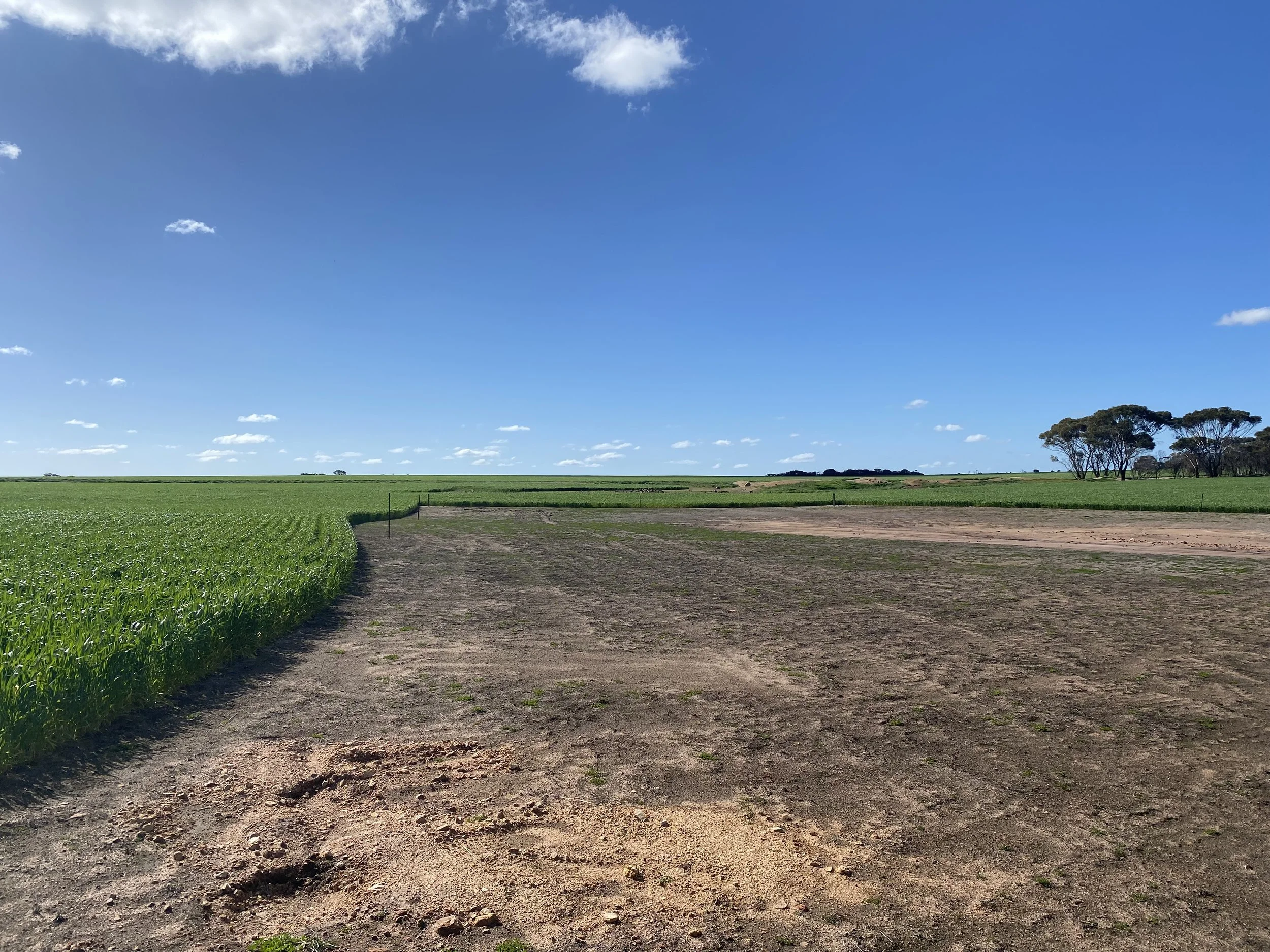 Beyond the Salt Struggle - Cultivating Change with a Catchment Approach
