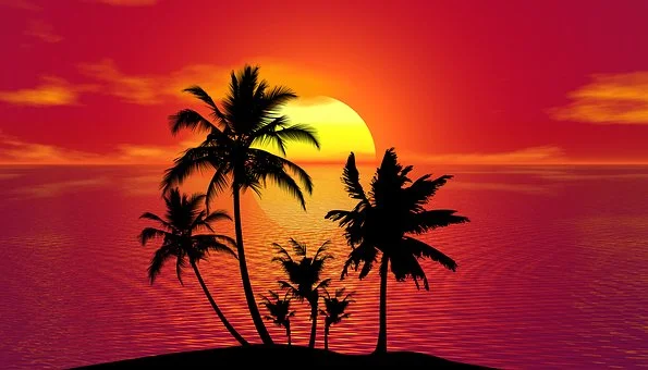 tropical.jpg