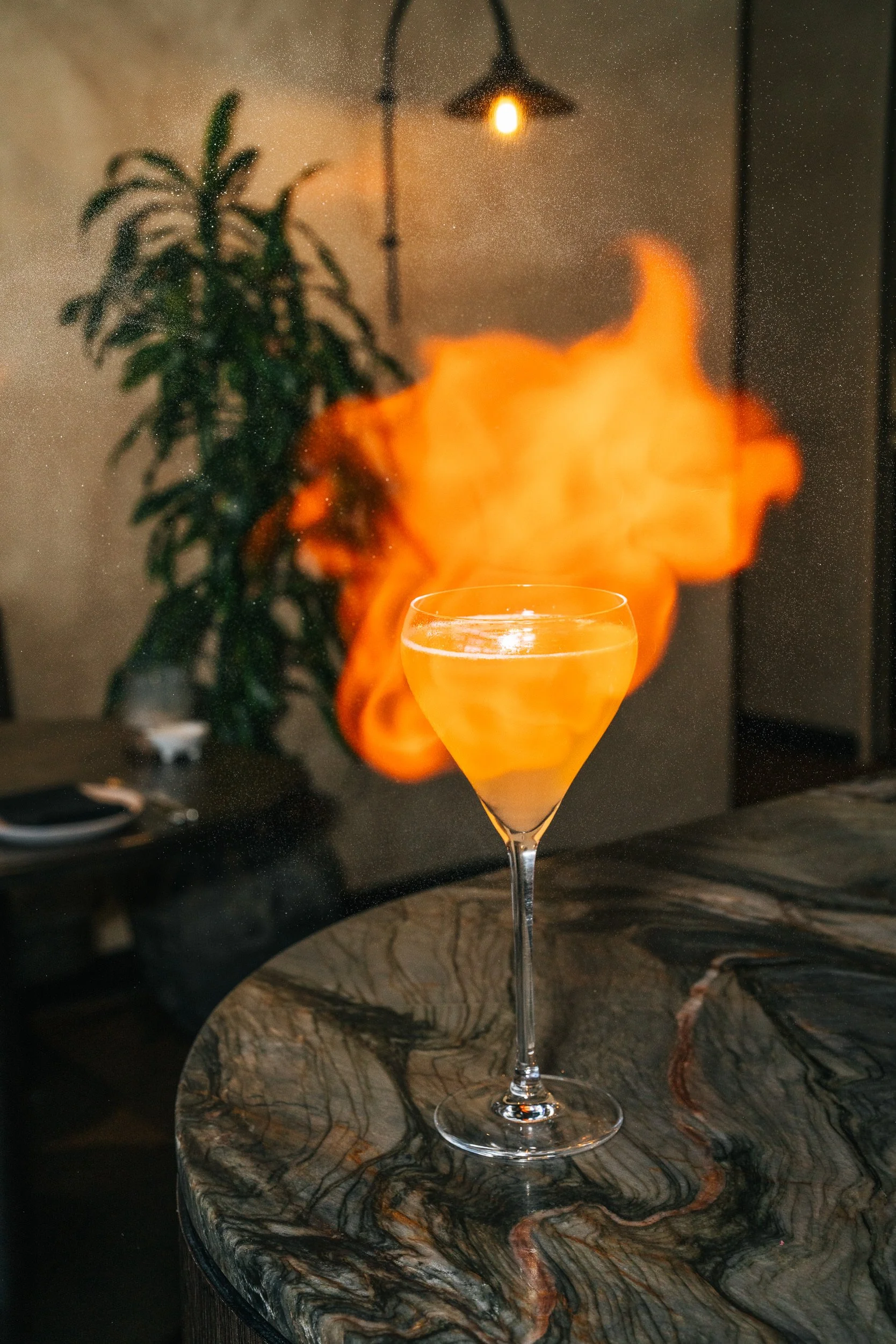 Toast-Oak-Queenstown-25.jpg