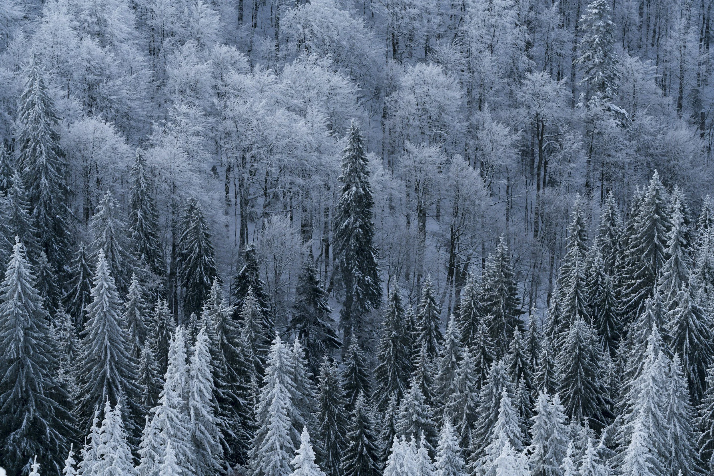 unsplash-image-_7IUgAL60nc.jpg