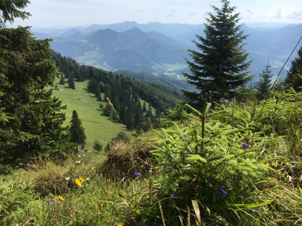 Workshop in Upper Austria
