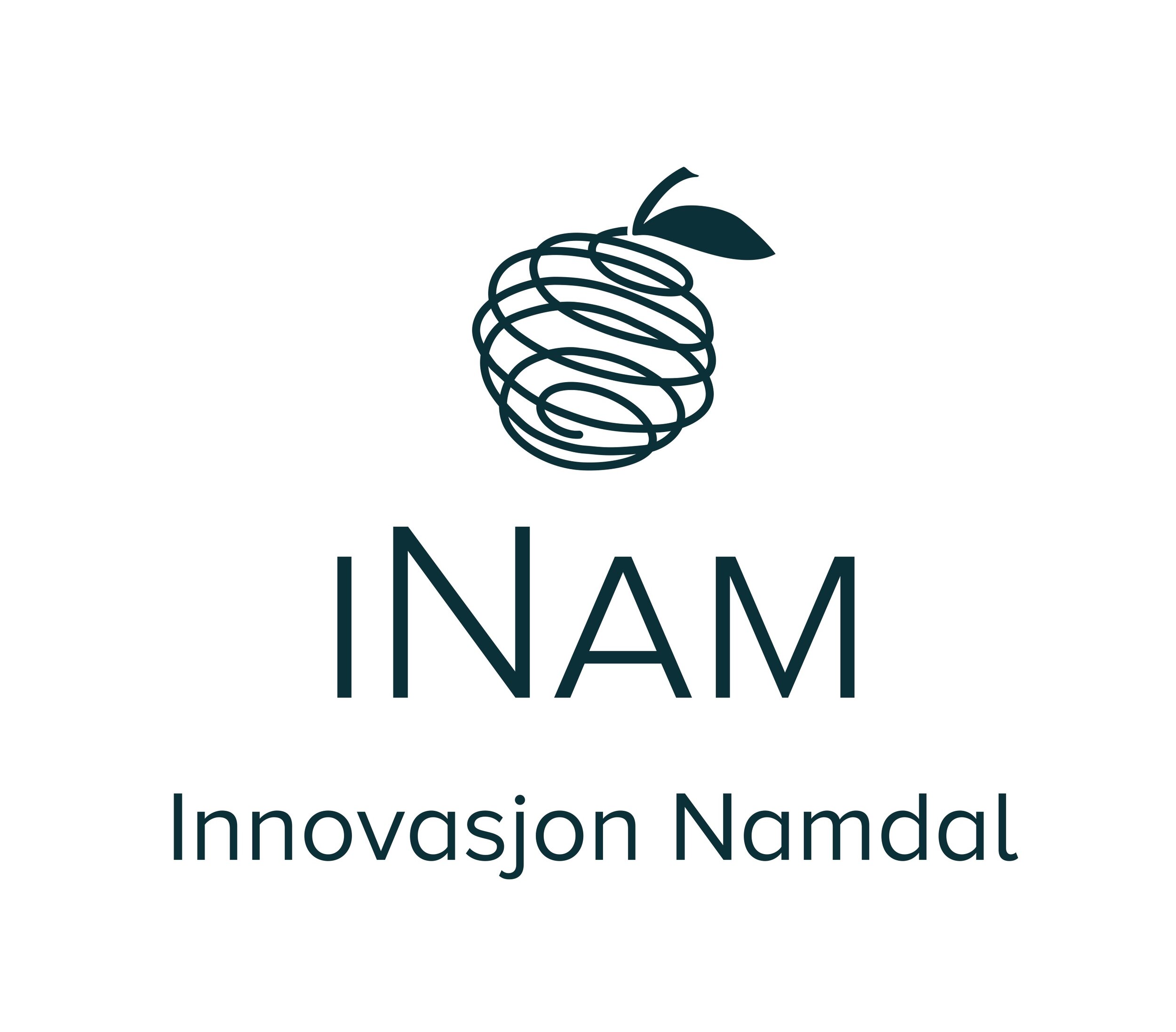 iNam_logo_hoyde.jpg
