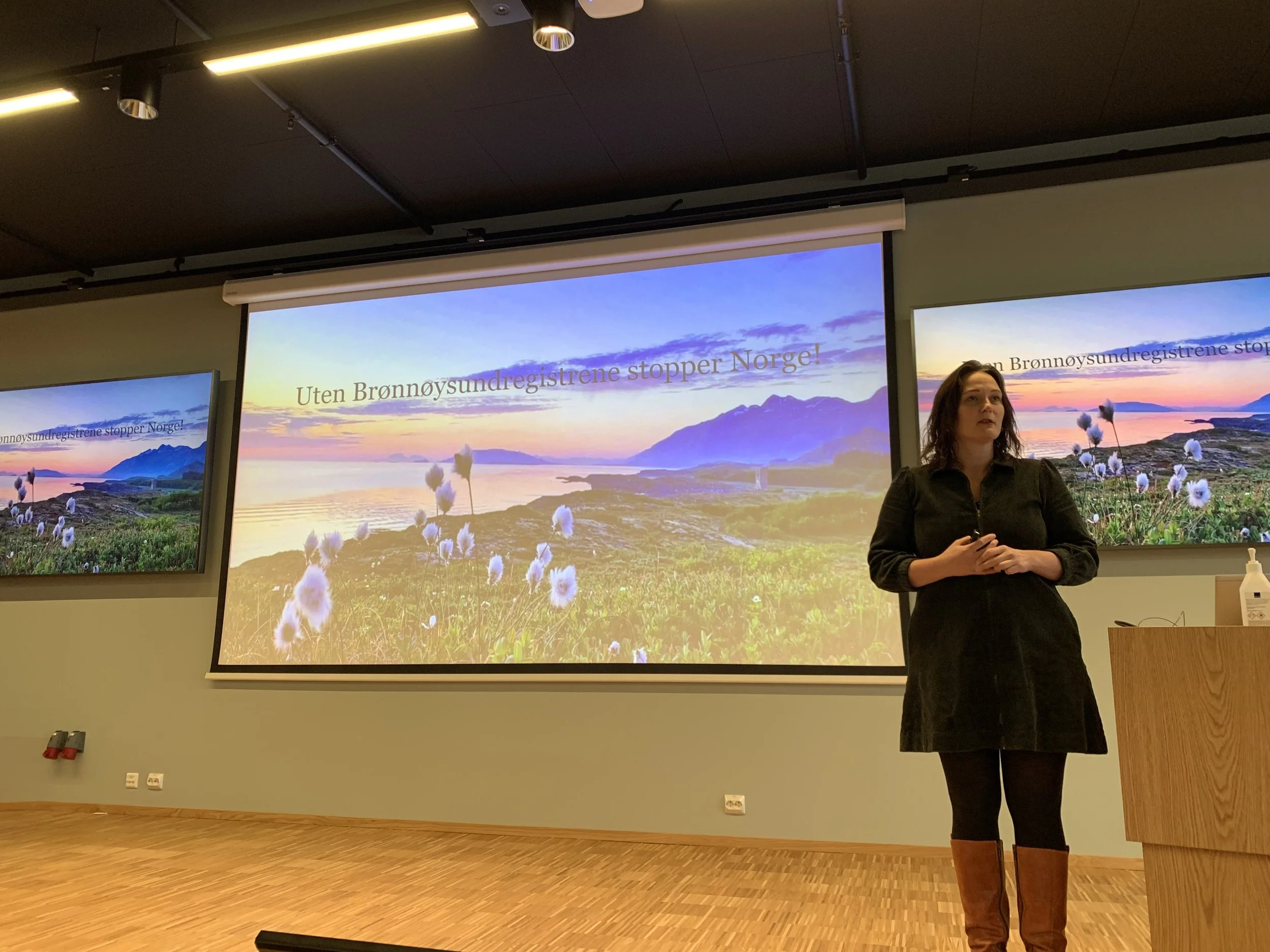 Helgeland Regional Council and Peacepainting