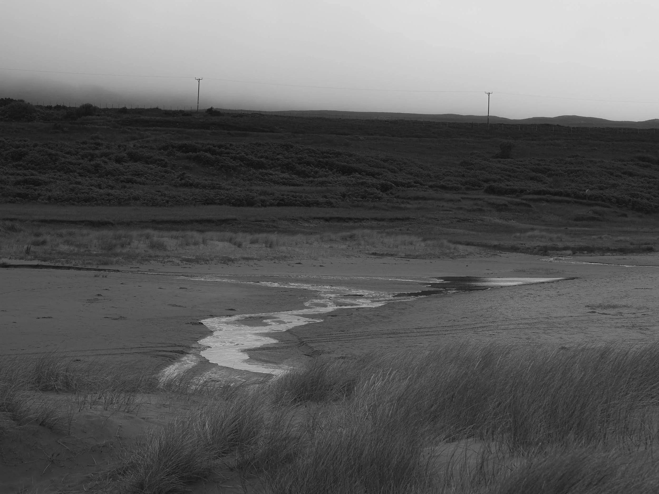 Before the grass turned green.jpg