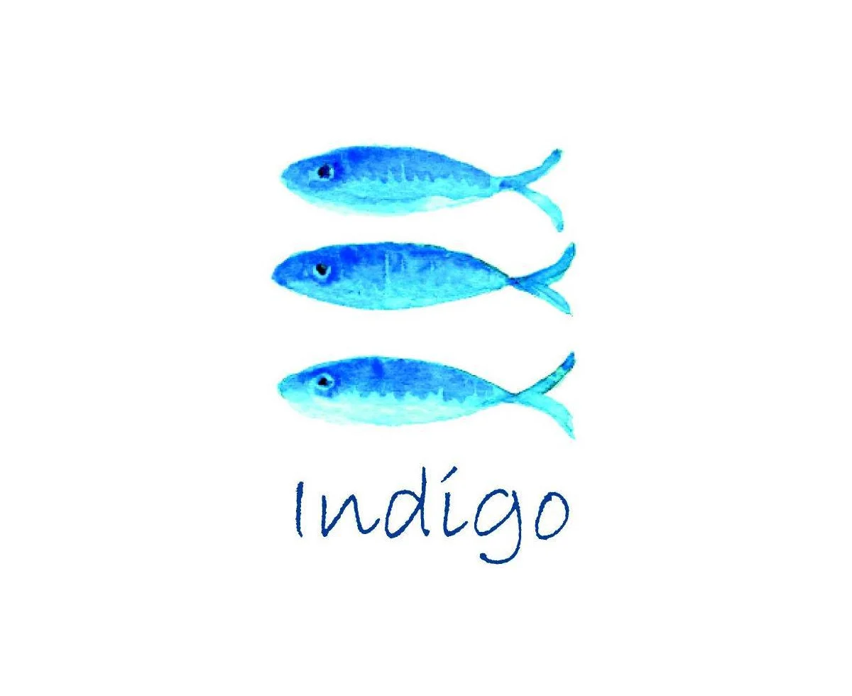INDIGO2.jpg