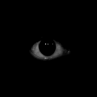 Gif 1.gif