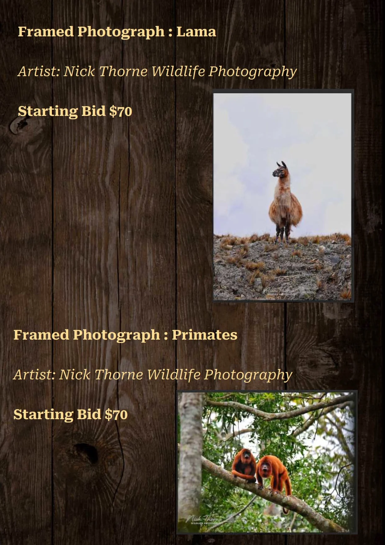 Gala Auction Catalogue_23.jpg