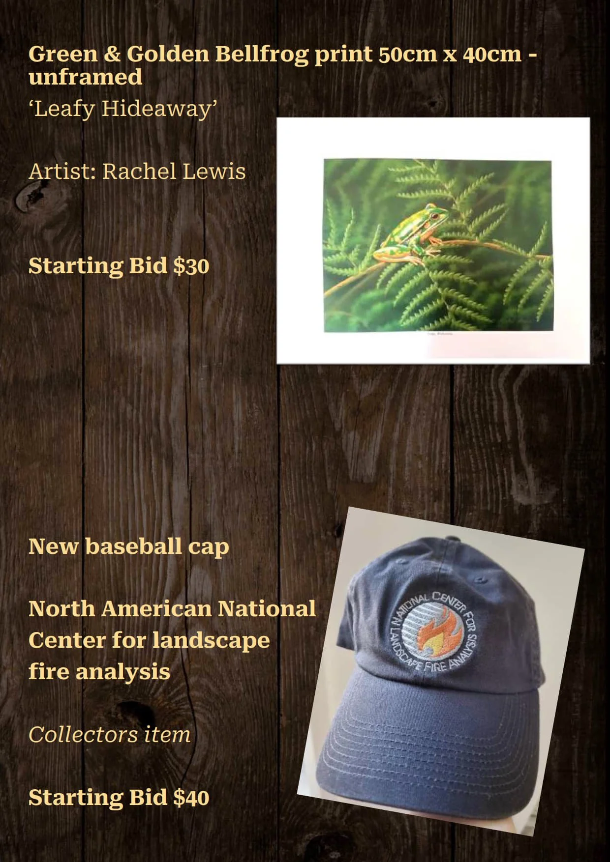 Gala Auction Catalogue_26.jpg