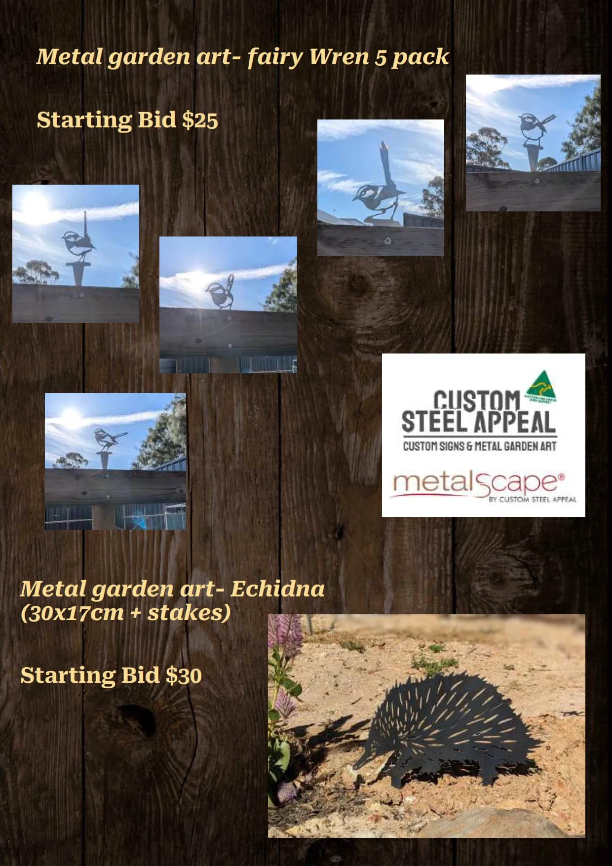 Gala Auction Catalogue_29.jpg