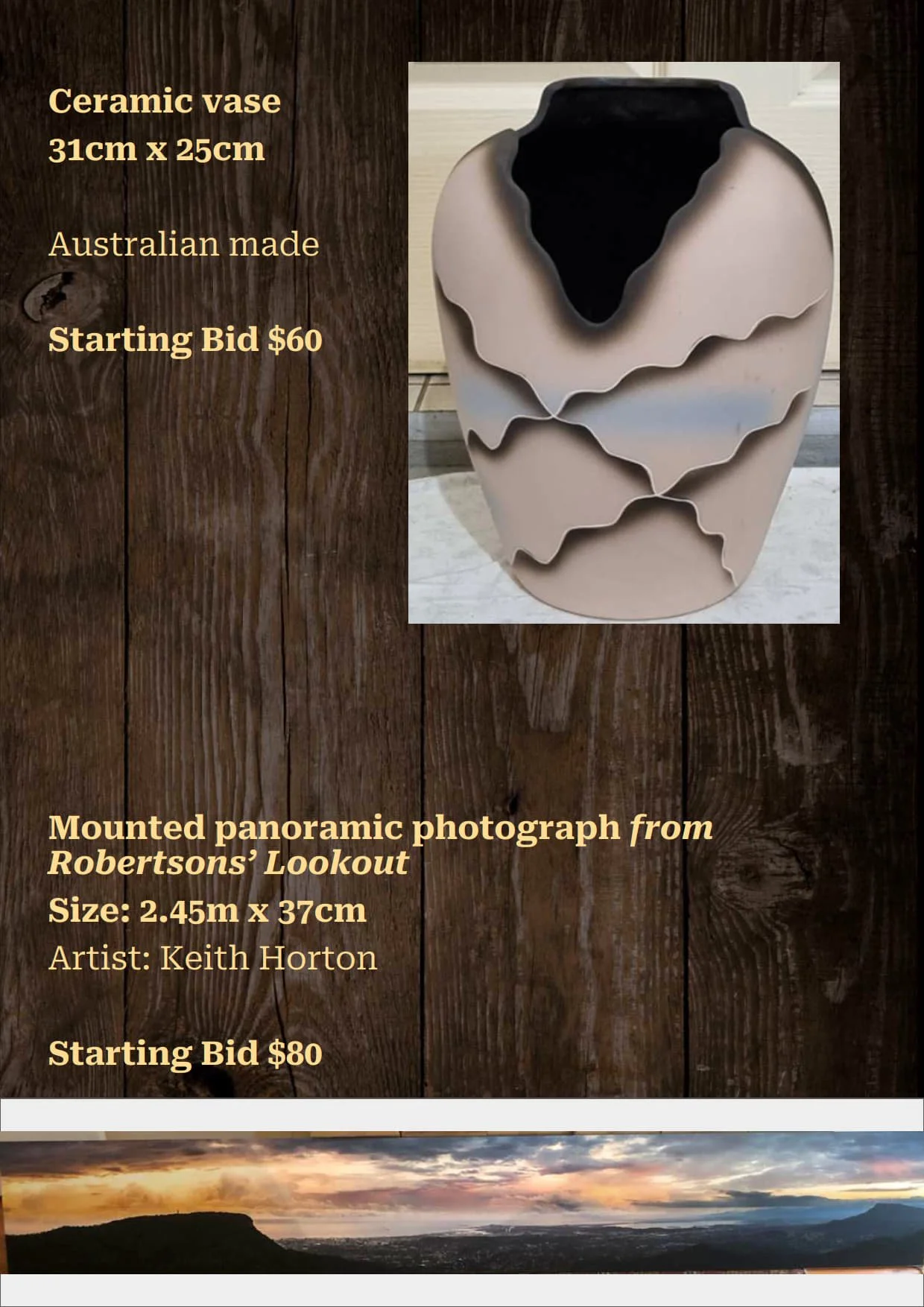 Gala Auction Catalogue_31.jpg