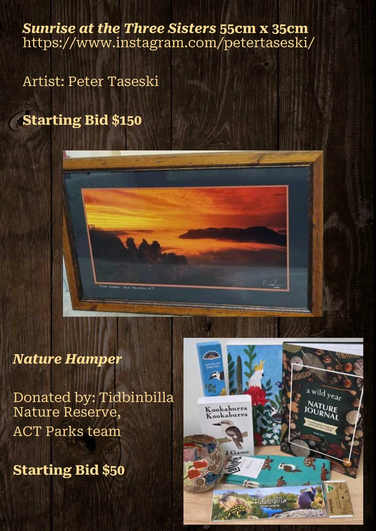 Gala Auction Catalogue_50.jpg