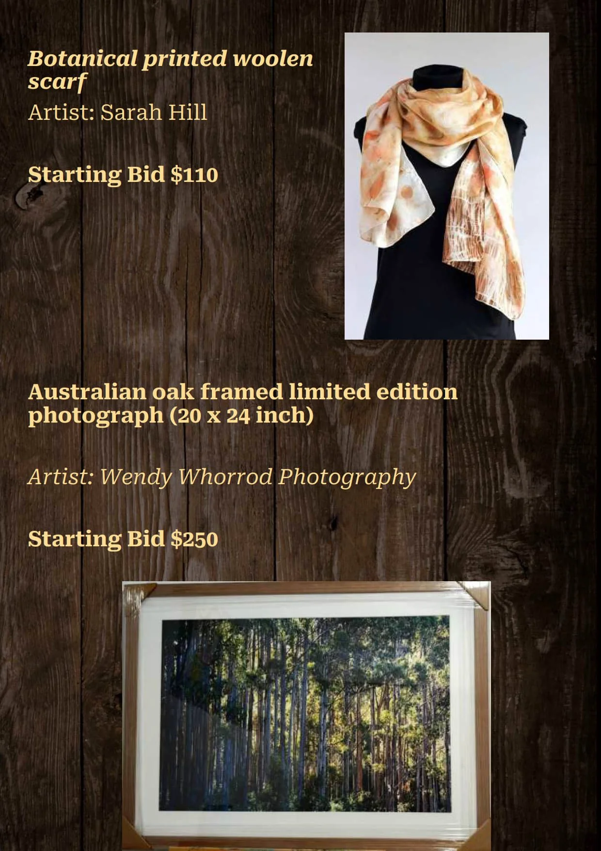 Gala Auction Catalogue_54.jpg