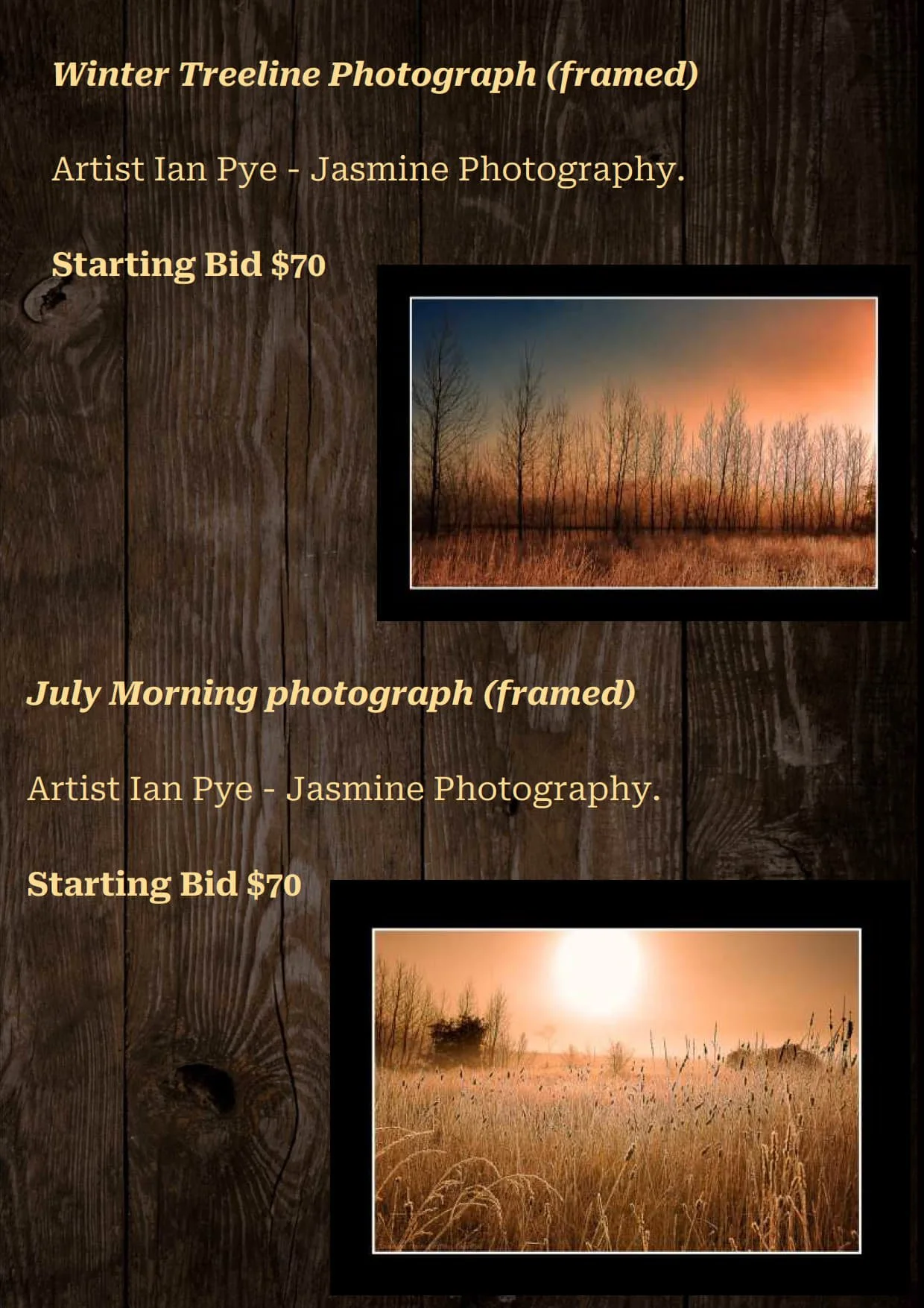 Gala Auction Catalogue_56.jpg