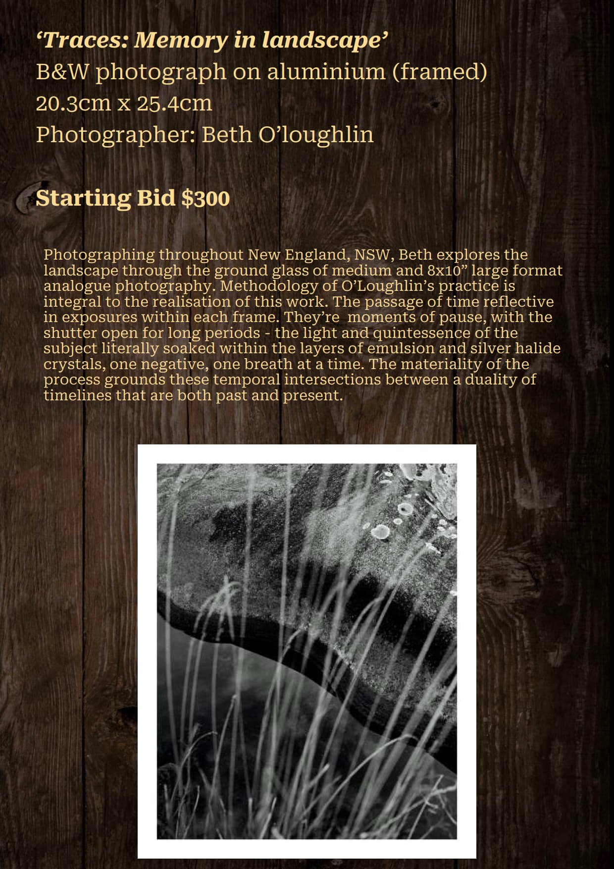 Gala Auction Catalogue_61.jpg
