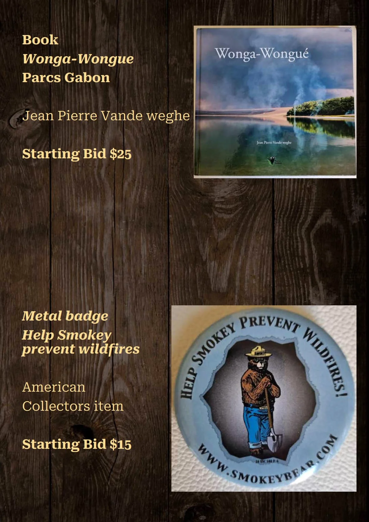Gala Auction Catalogue_64.jpg