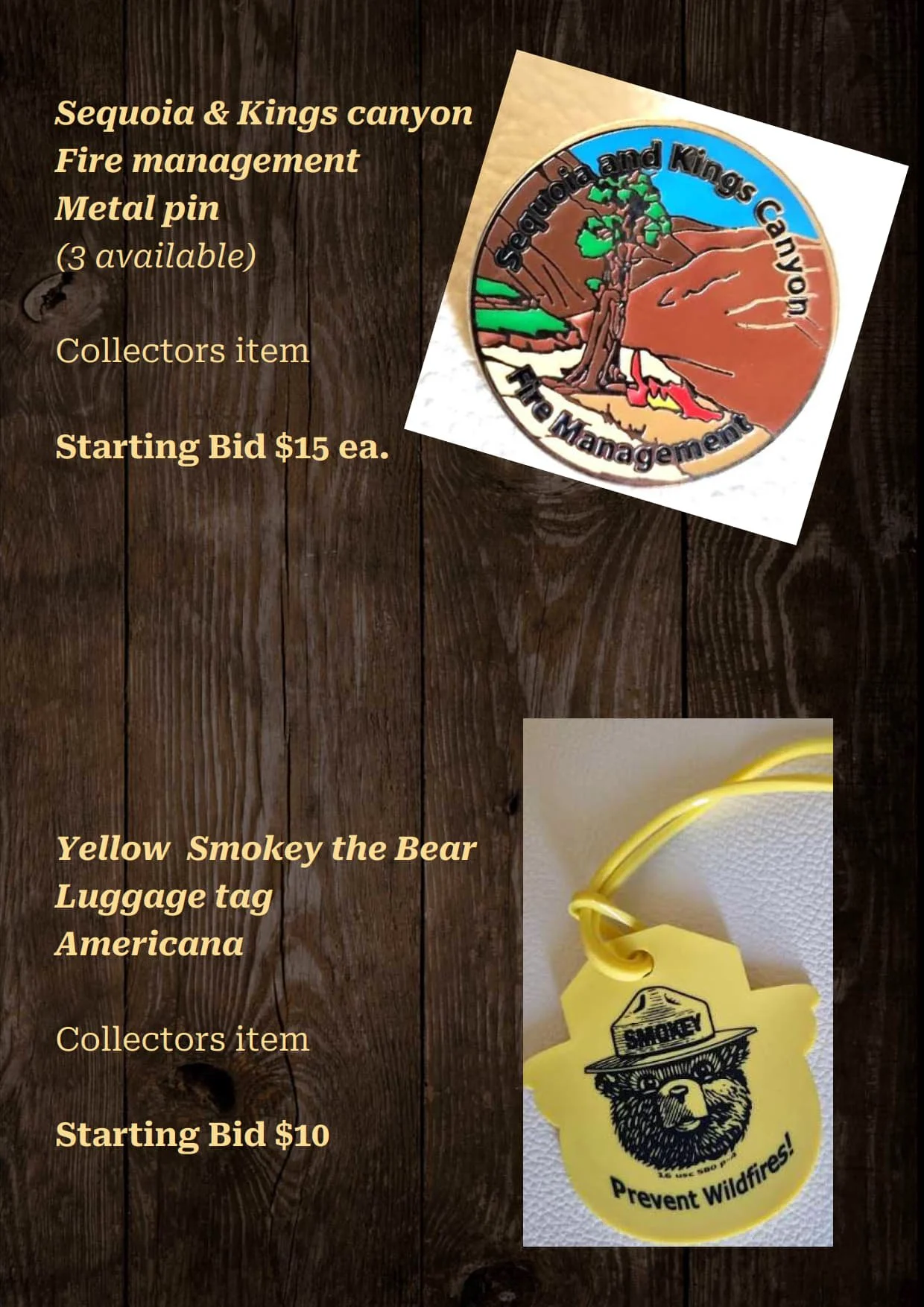 Gala Auction Catalogue_70.jpg