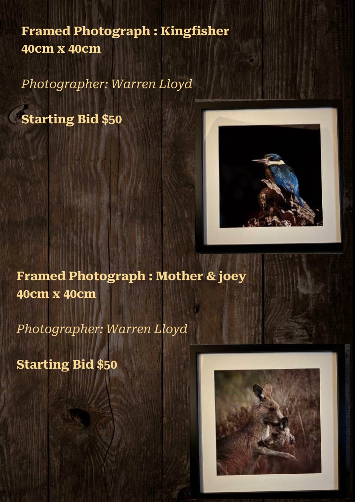 Gala Auction Catalogue_74.jpg