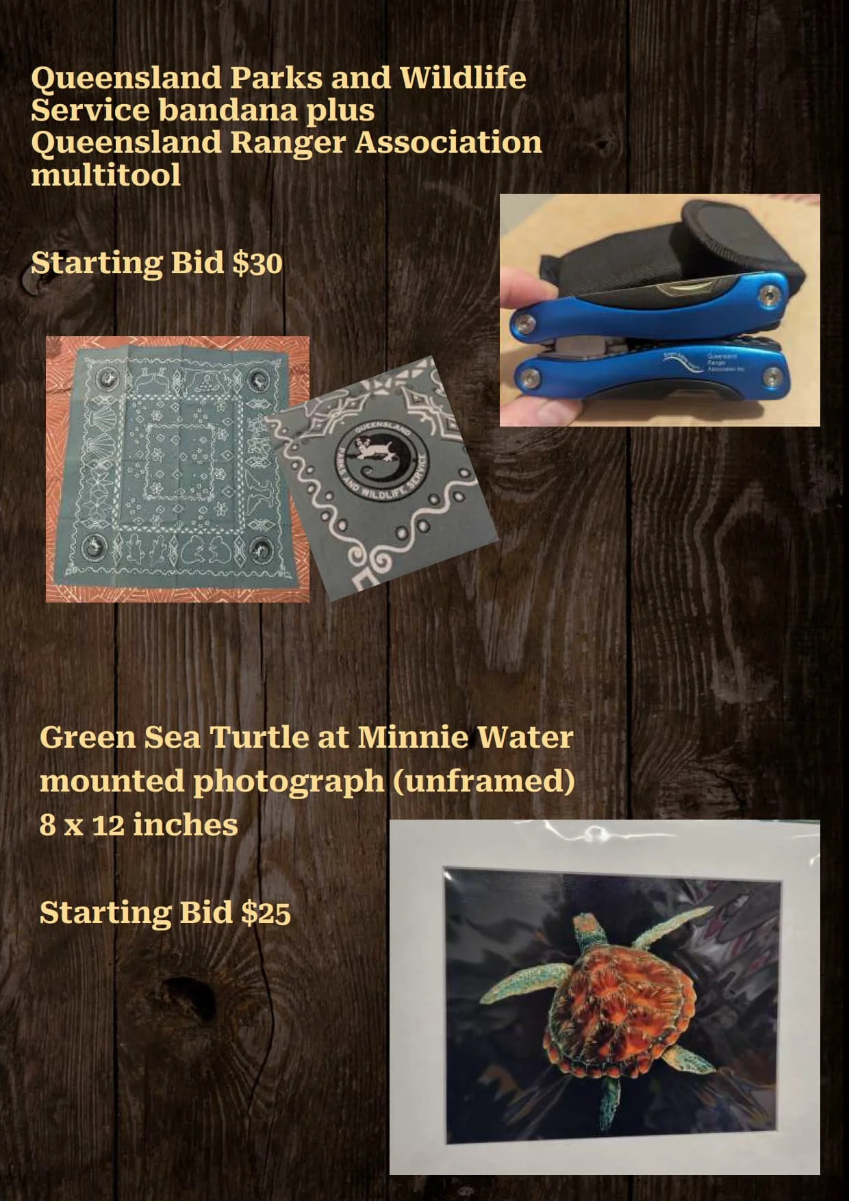 Gala Auction Catalogue_75.jpg