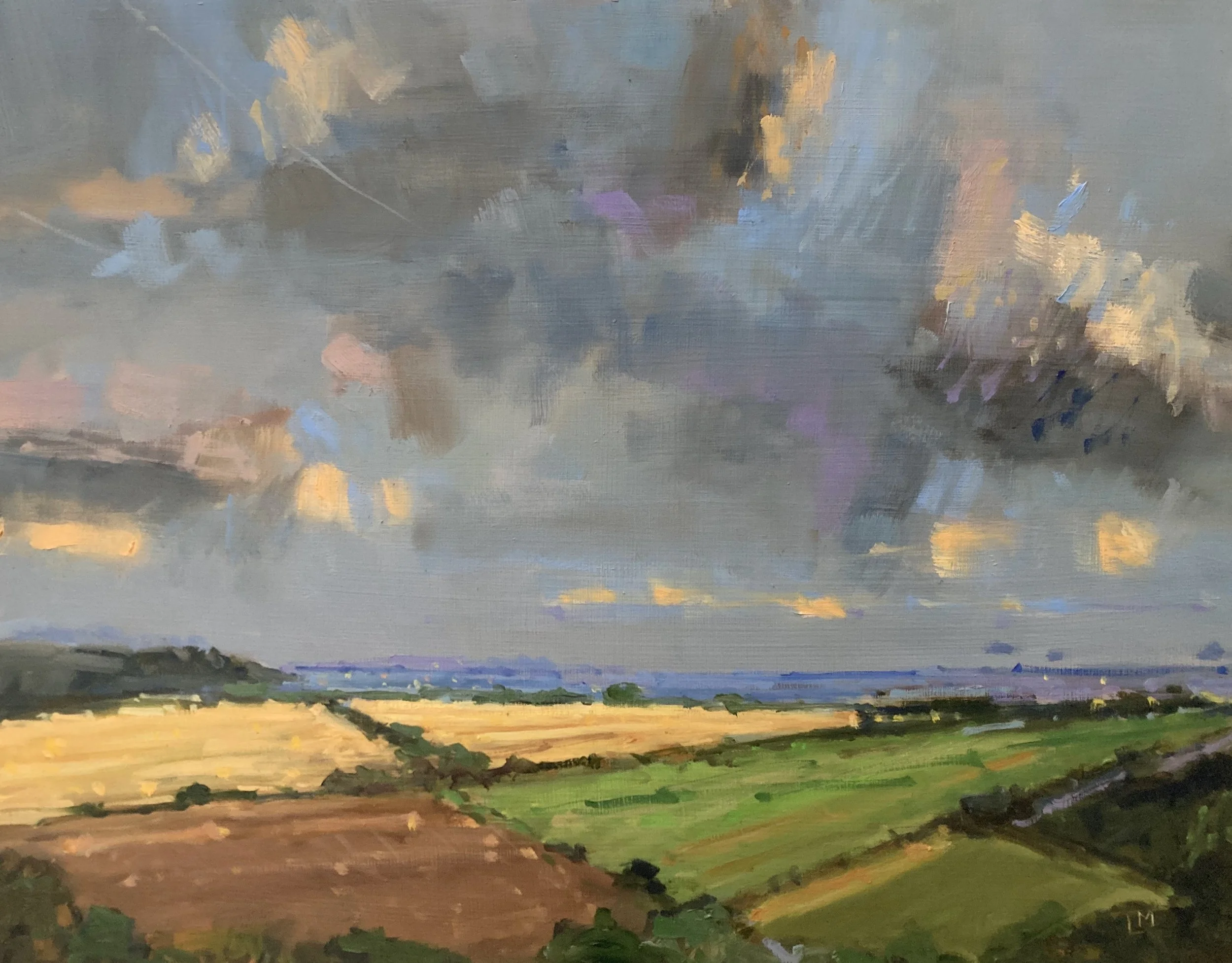 Towards The Sea Oil 35x45cm NOT Harbour Gallery.jpeg