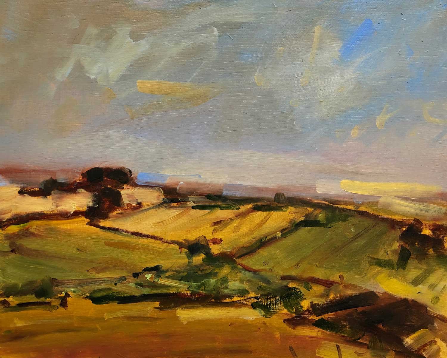 Golden-Fields-Oil-20x25cm.jpg