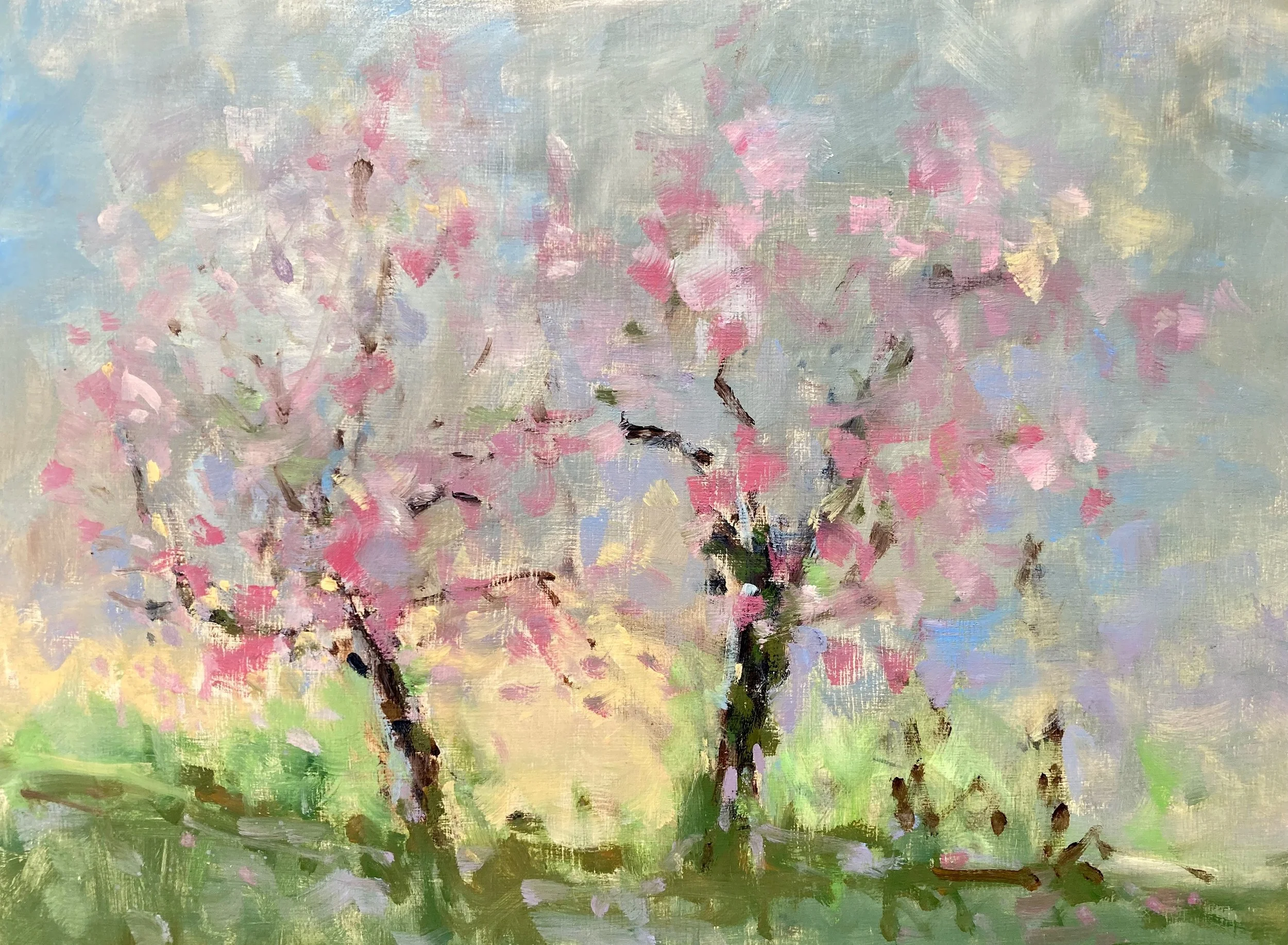 Cherry Blossom Oil 23x30cm.jpeg