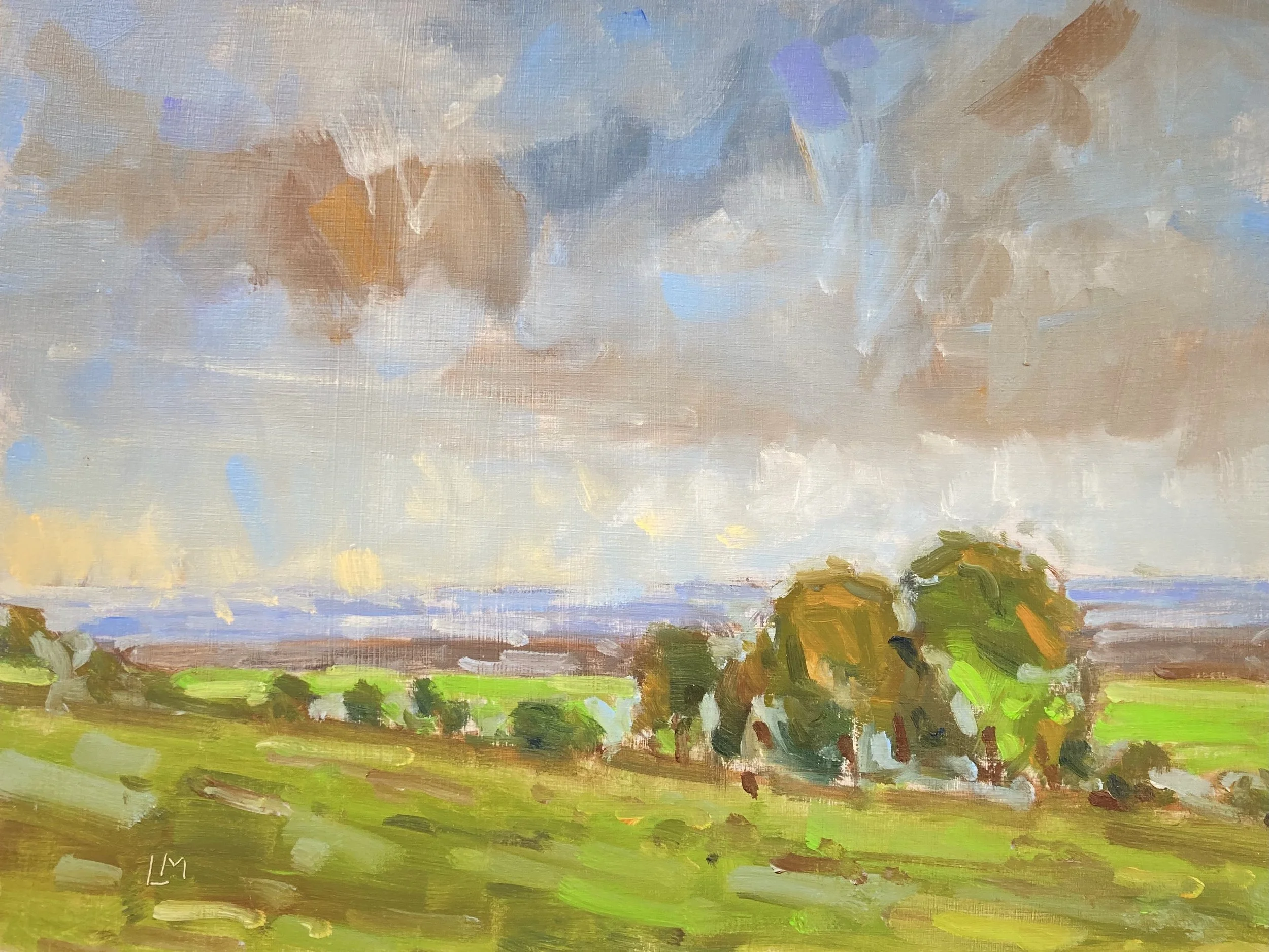 Trees on the Hill Oil 23x30cm.jpeg