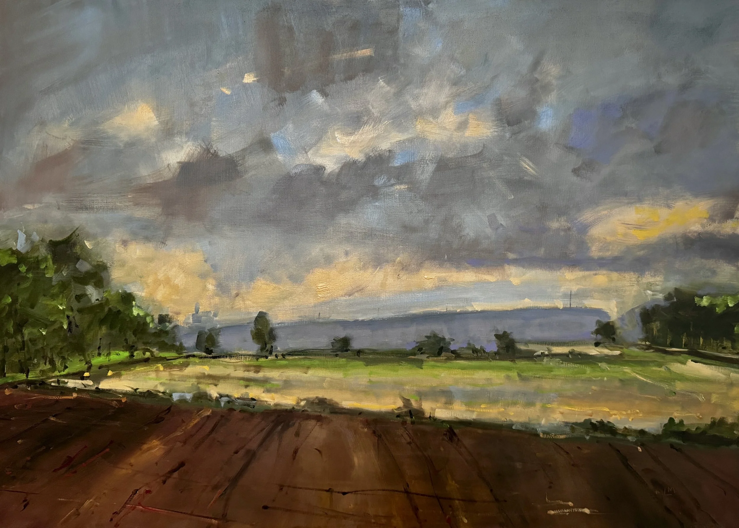 View from the Sculpture Garden Oil 60x84.jpeg