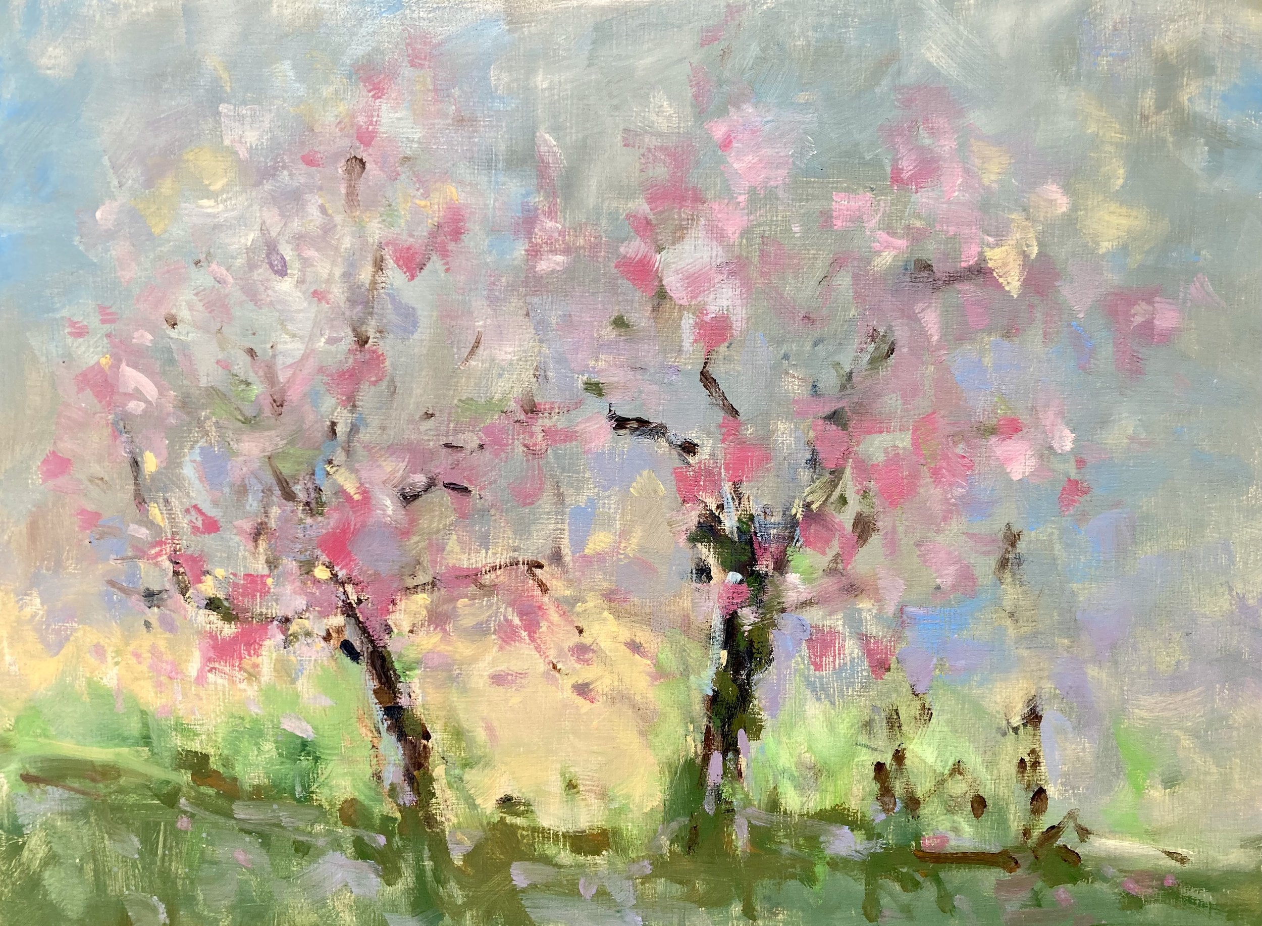 Cherry Blossom Oil 23x30cm.jpeg