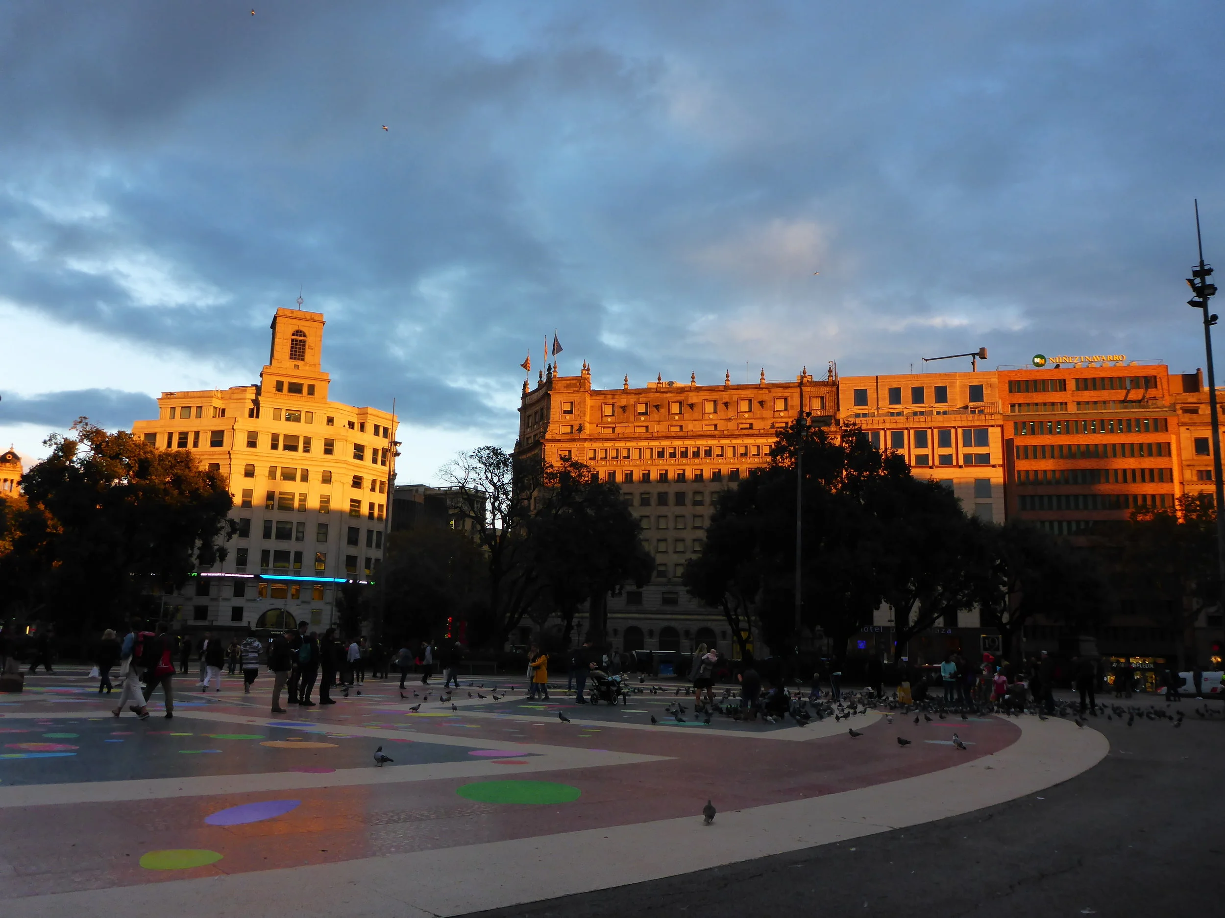 P1140813.JPG