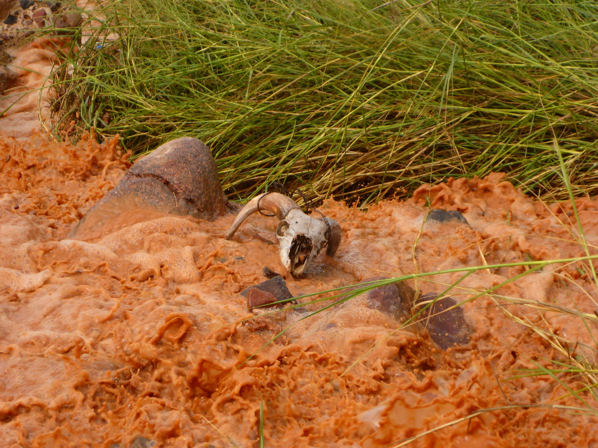 Just few thoughts from my grey matter between the ears :-) 