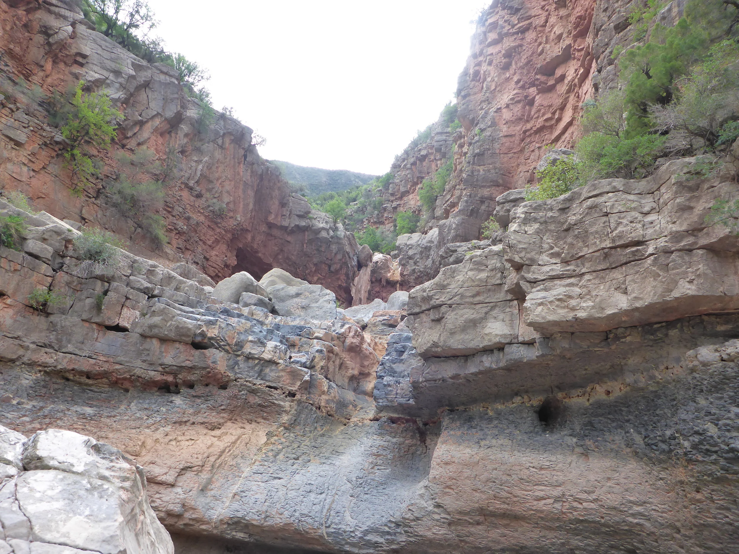 P1150571.JPG