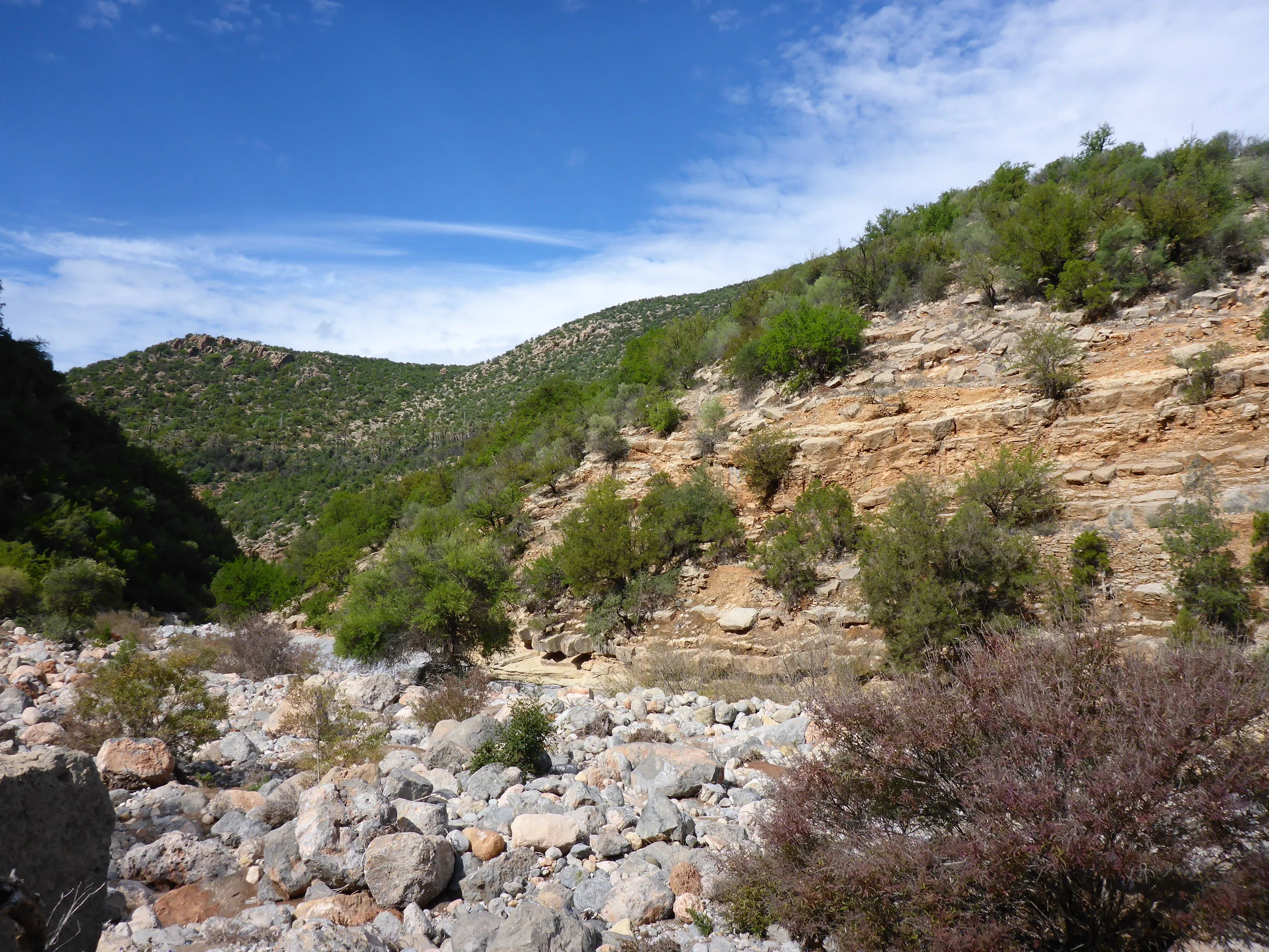 P1150576.JPG