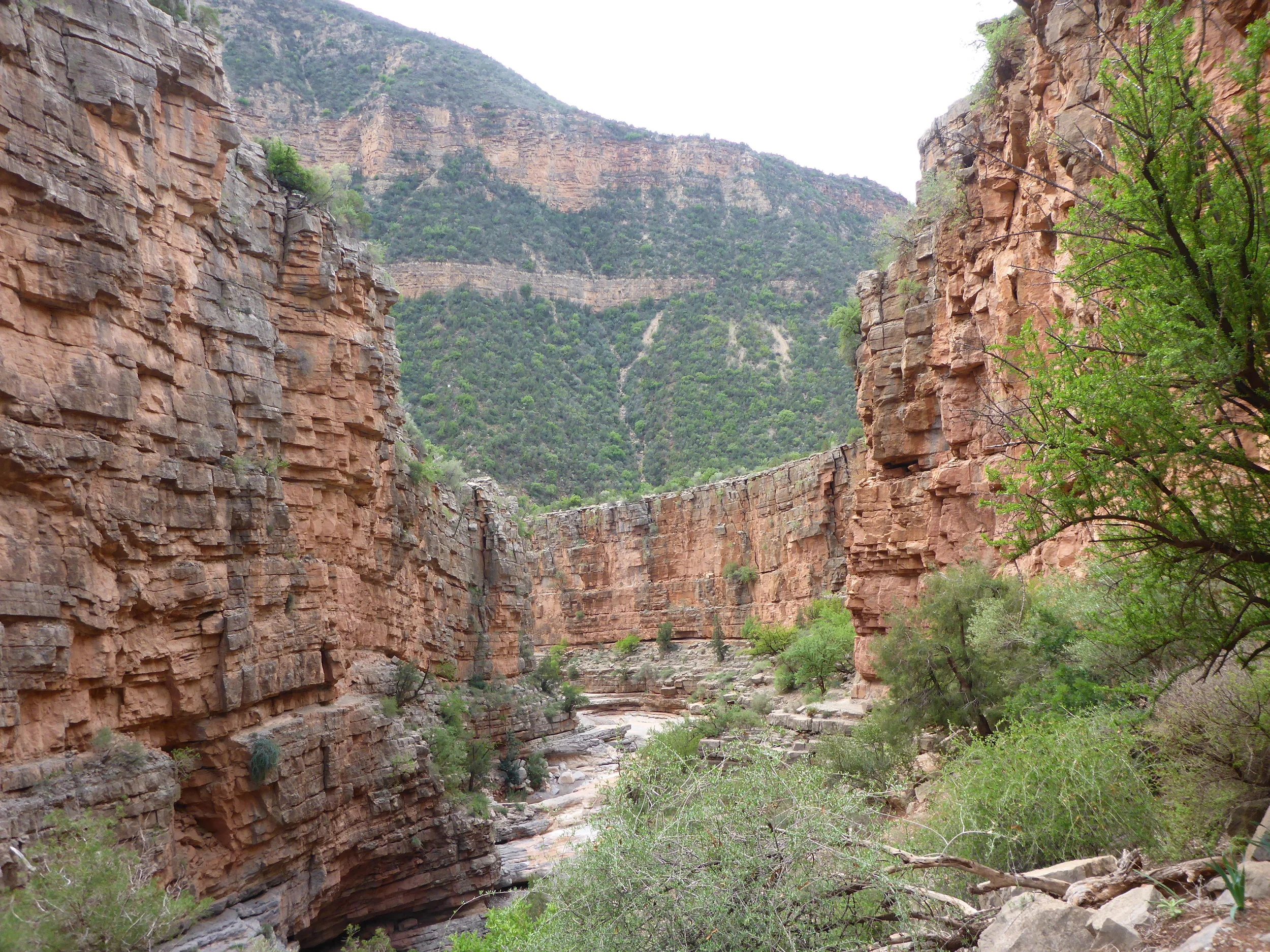 Tamraght, Paradise Valley.