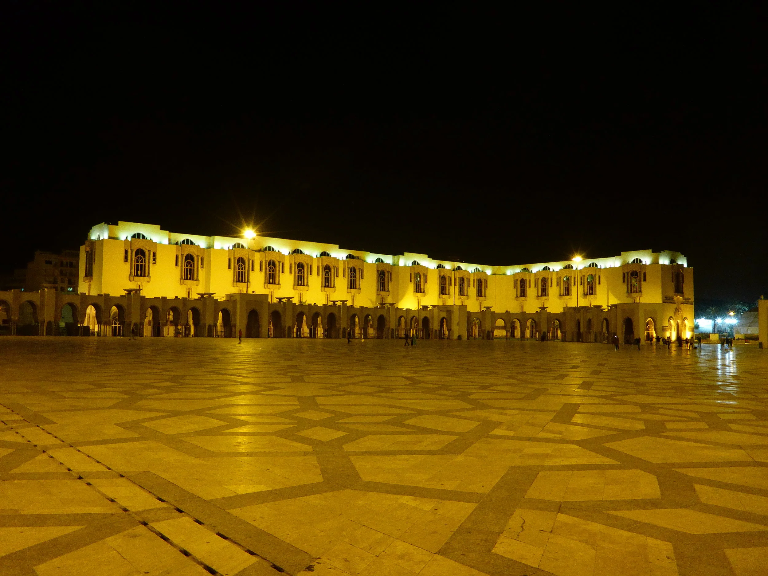 P1150833.JPG