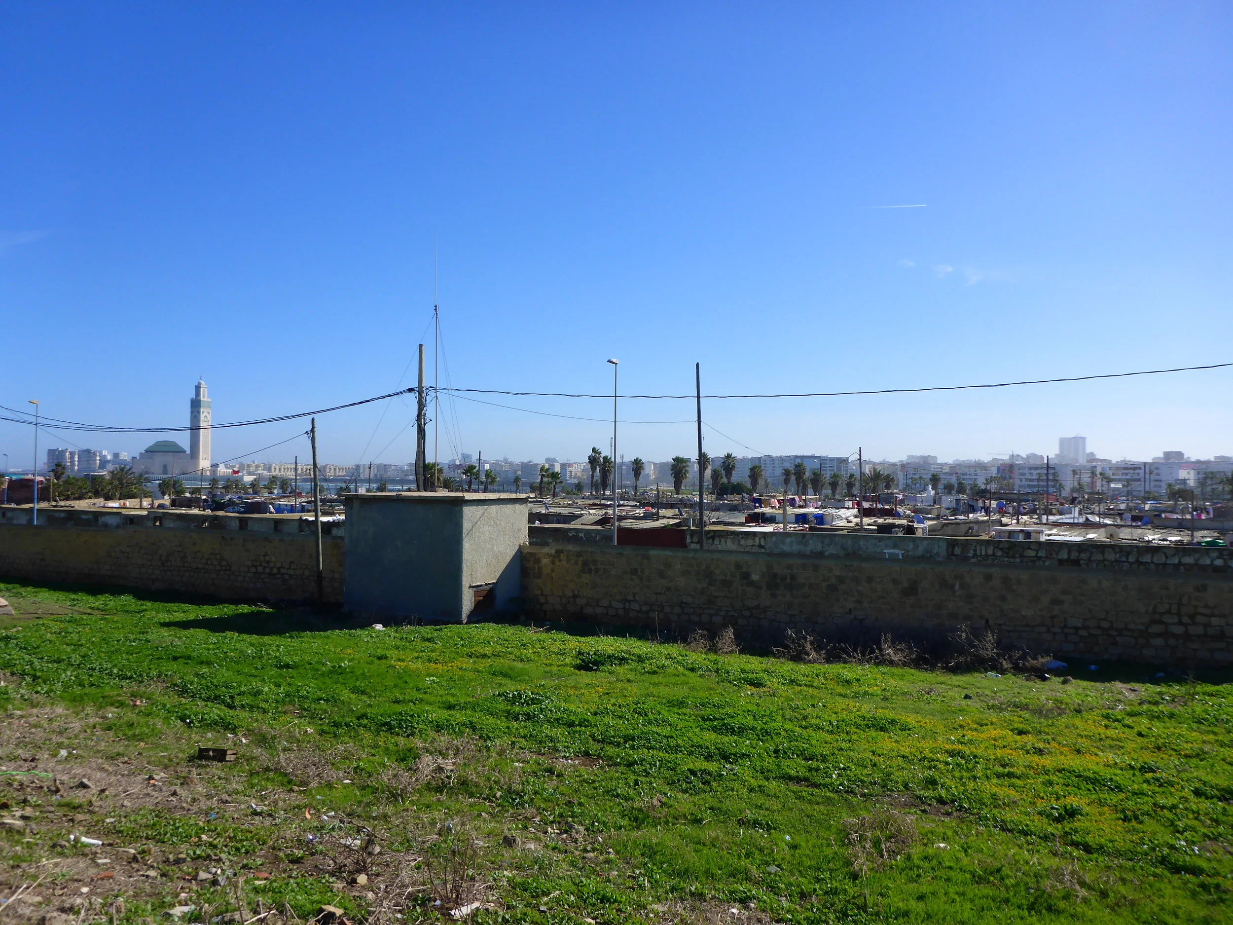 P1150874.JPG