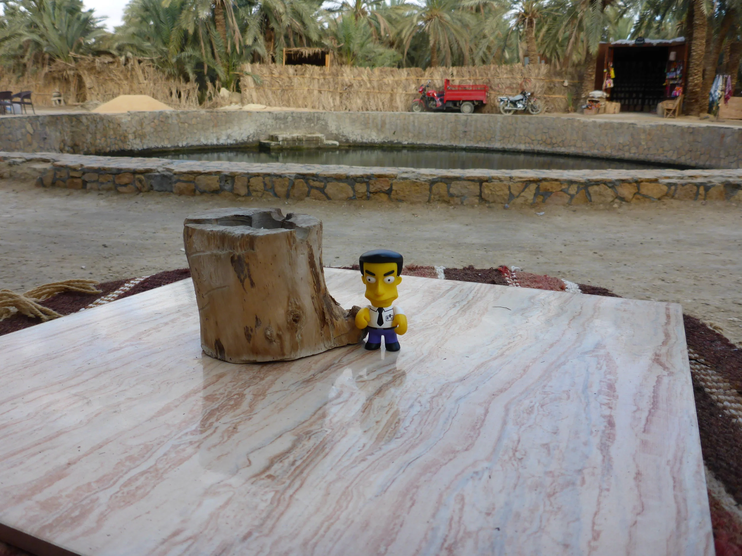 Siwa Oasis and short stop in Alexandria