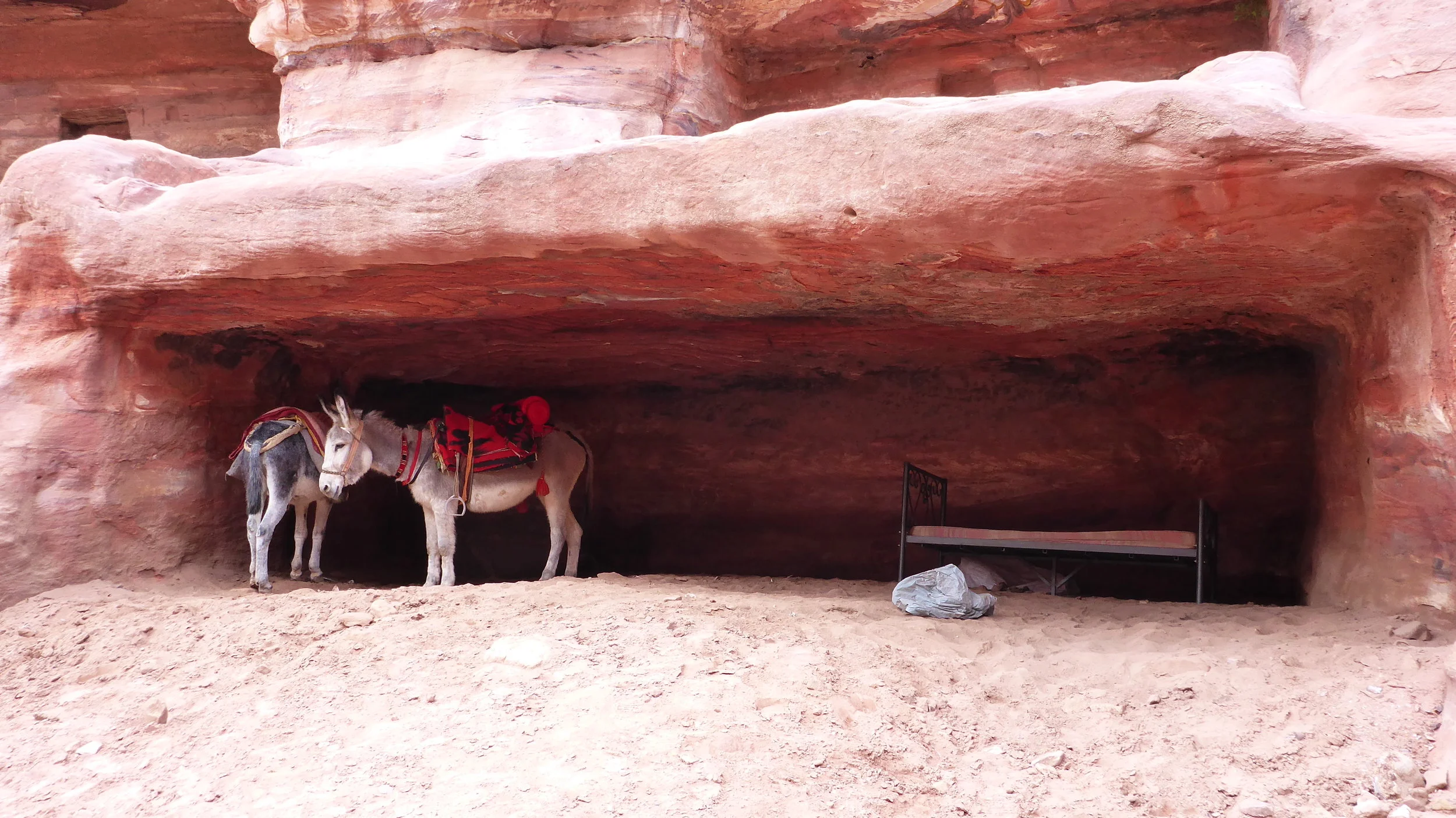 Donkey depo in Petra
