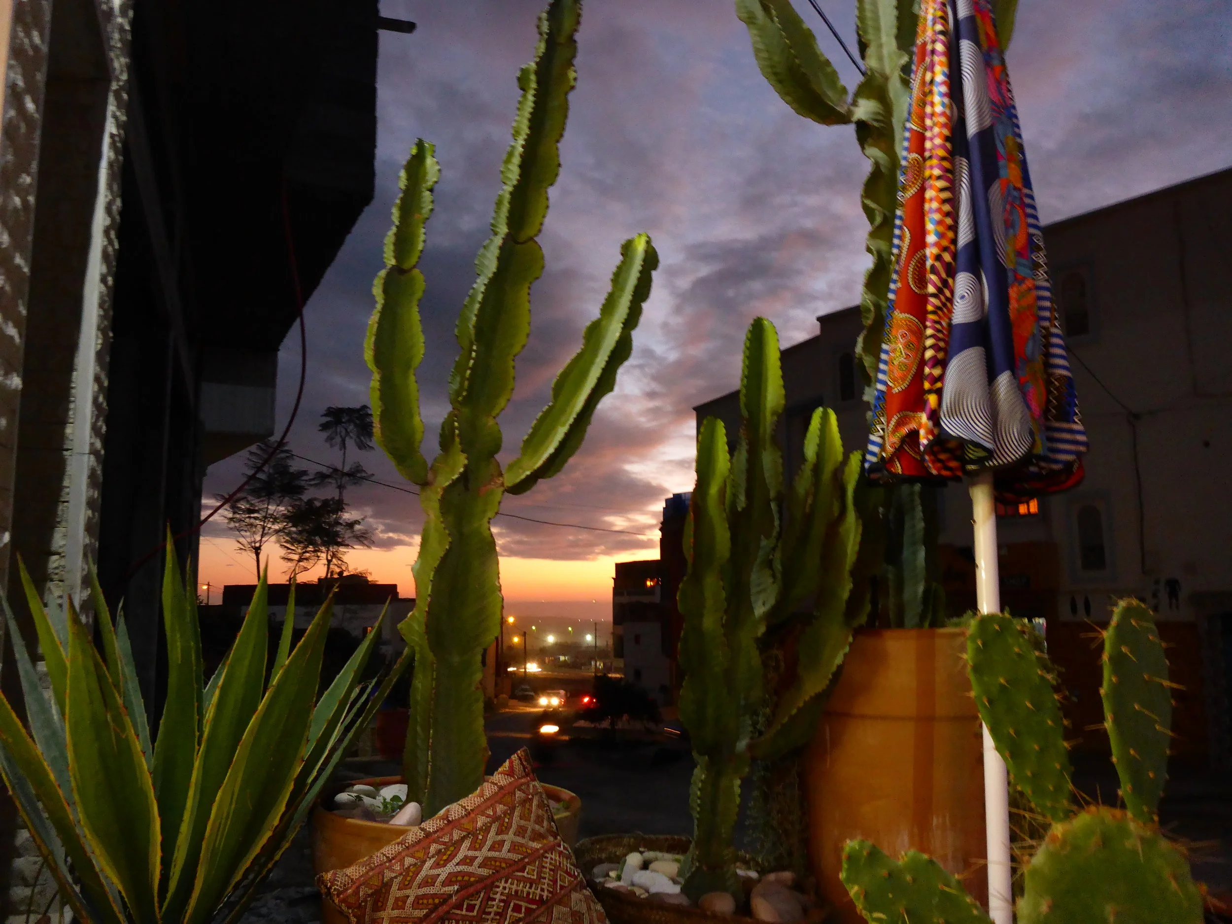 Tamragh view from dinner