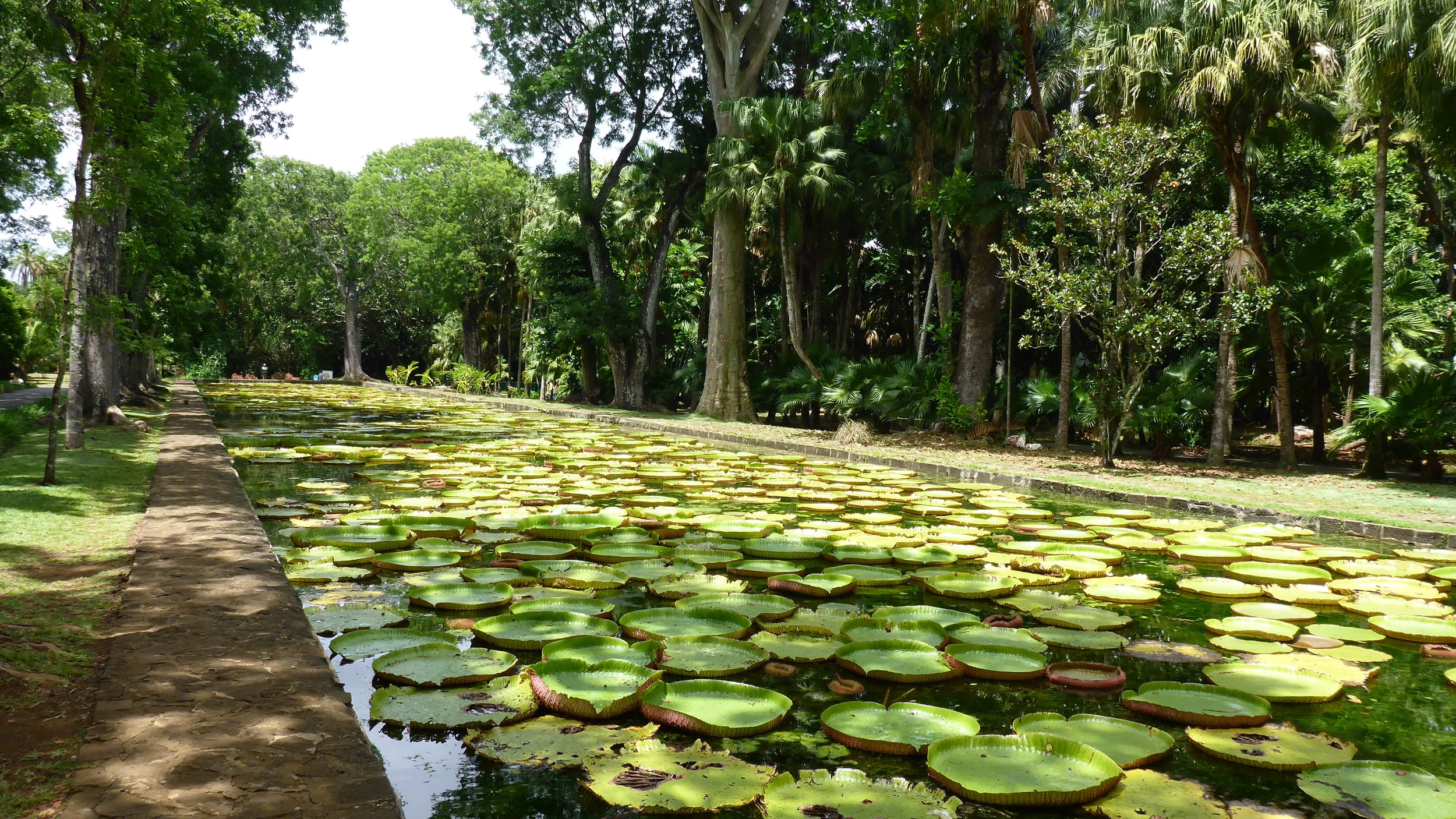 Mauritius 1
