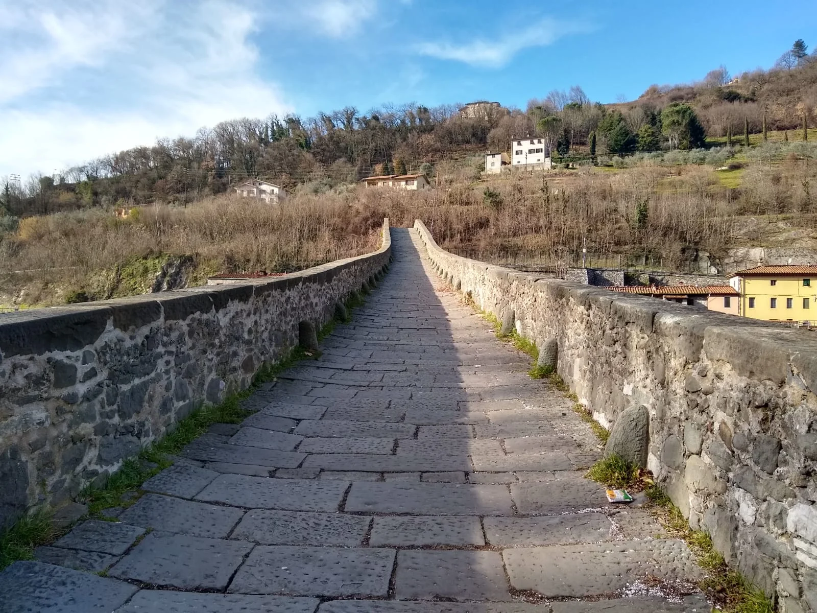 WhatsApp Image 2019-01-26 at 15.42.53.jpeg