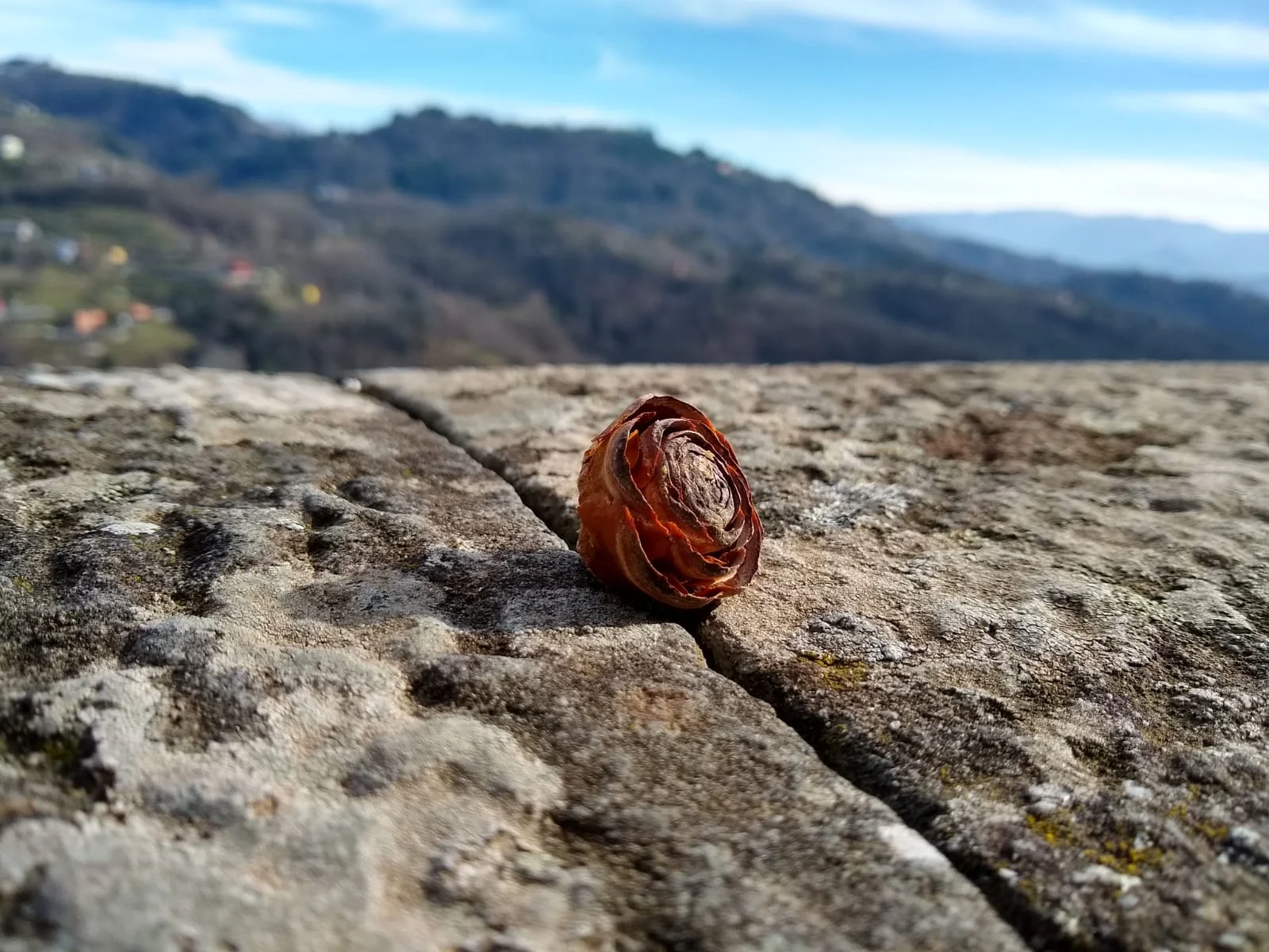 WhatsApp Image 2019-01-26 at 15.43.45.jpeg