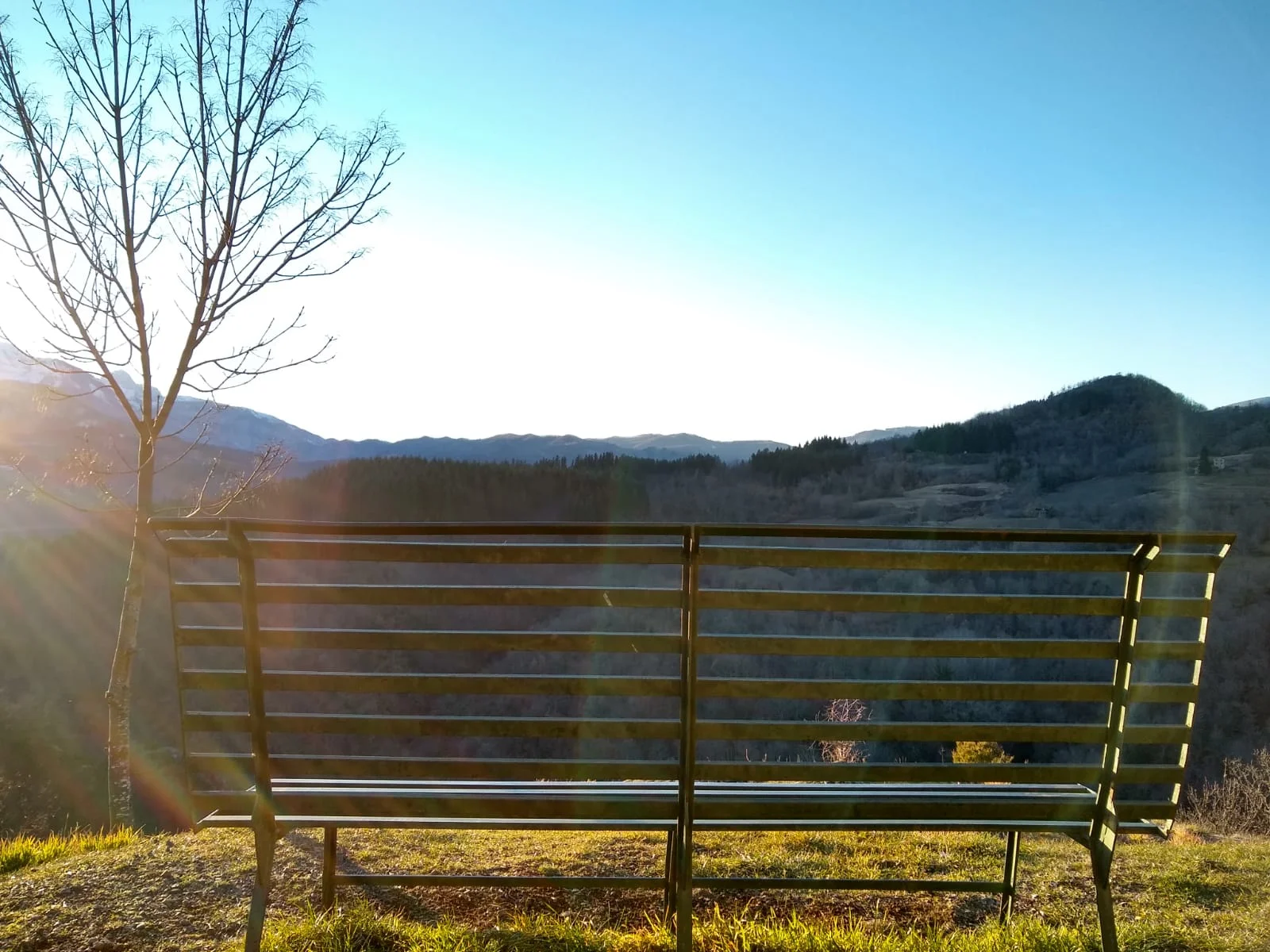 WhatsApp Image 2019-01-26 at 15.46.20.jpeg