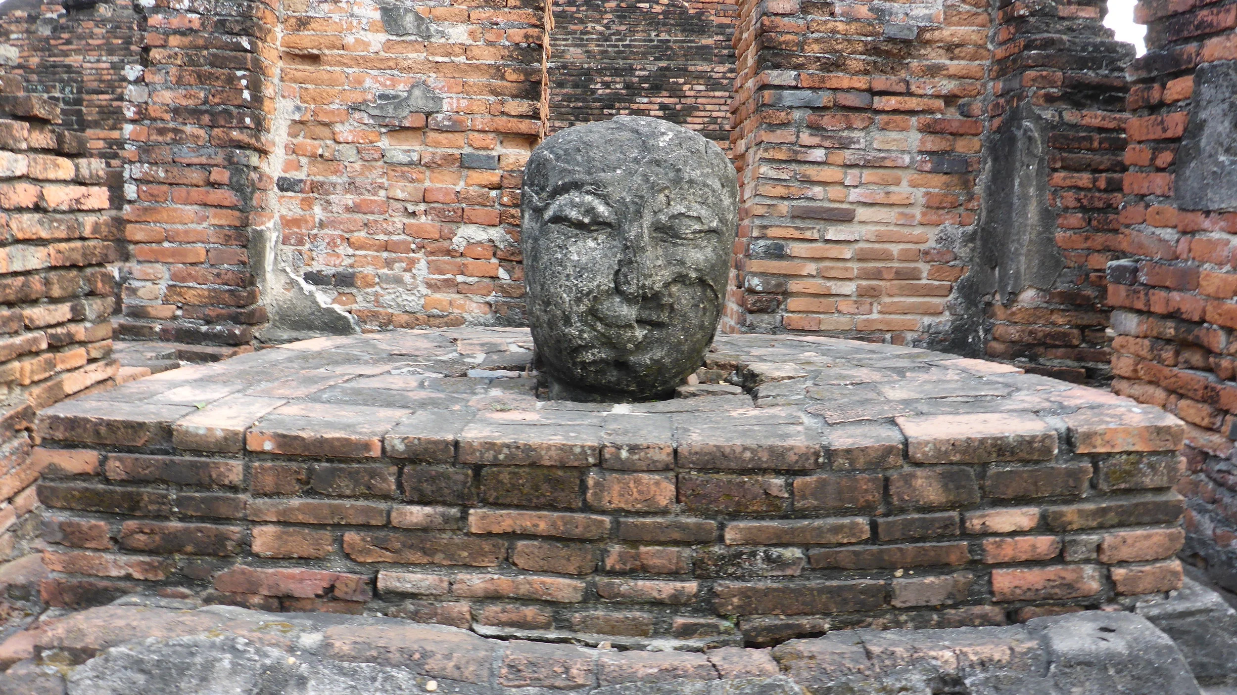 P1030759.JPG