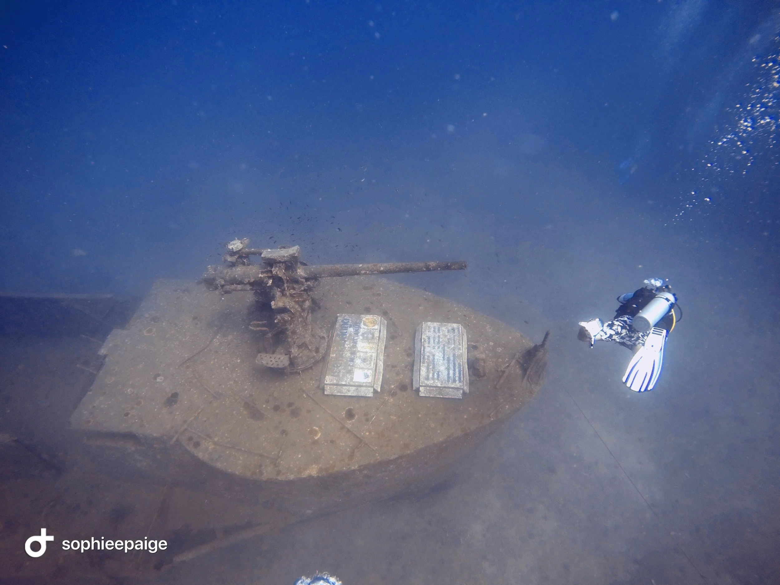 Scuba diving dream life....