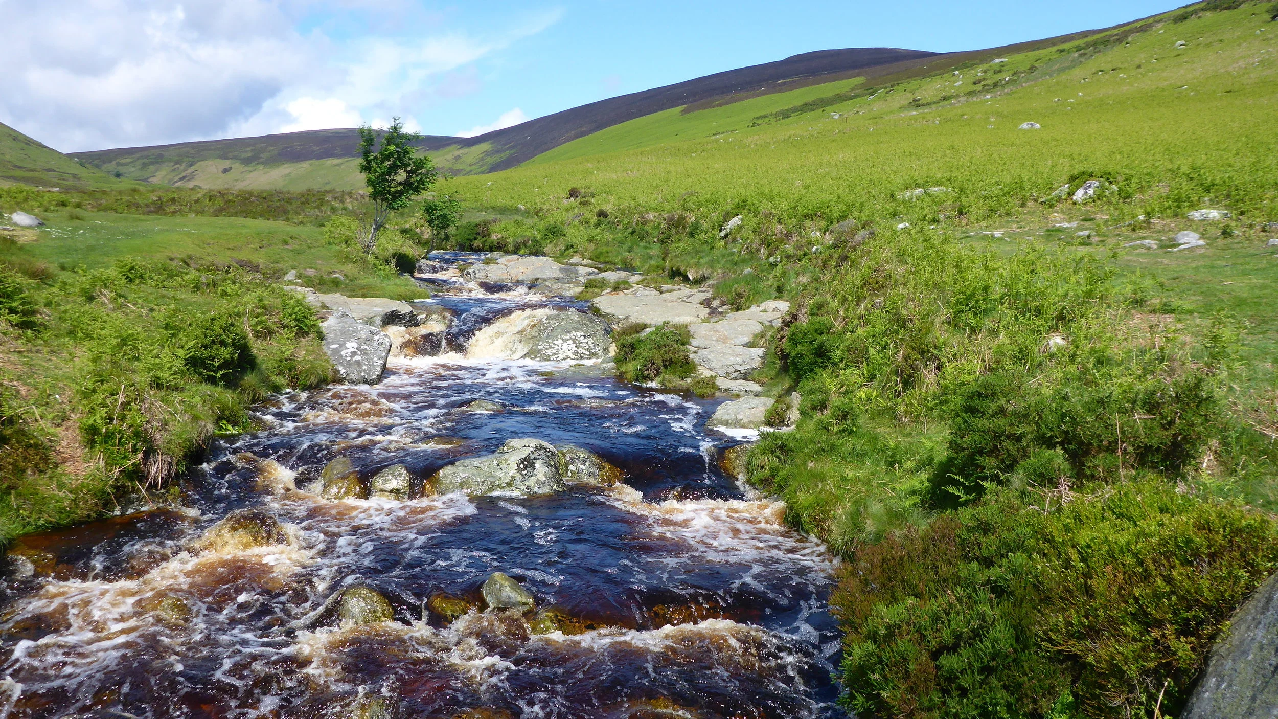 Back to emerald island and river of Guinness...