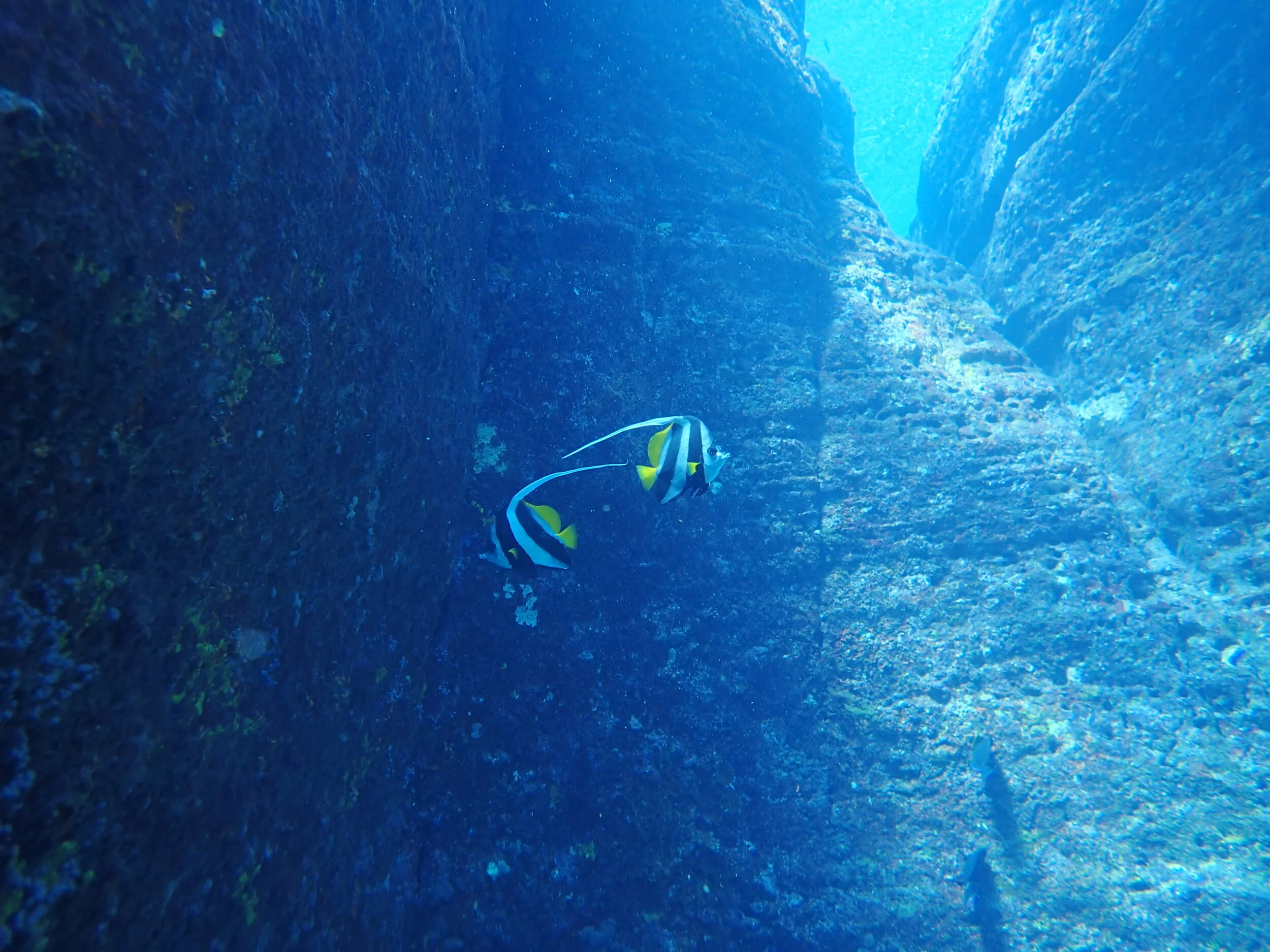 PA100342.JPG